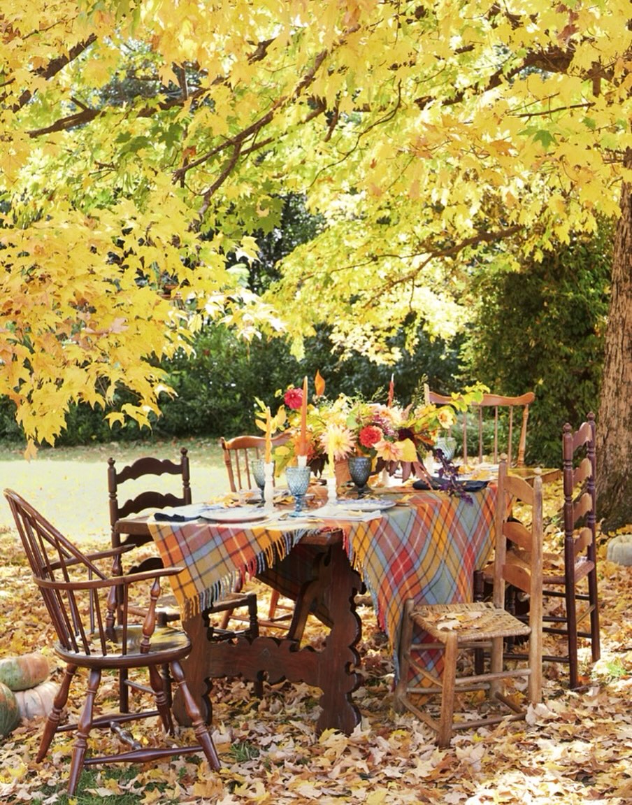 AHC is feeling all the feels today: thankful, grateful, and extra excited to spend some quality time with family and friends today...🍁🥧🌽
This Thanksgiving we are so thankful for all of YOU - our incredible clients whose brands make an impact every day, the amazing journalists and industry professionals who make our work that much easier and more exciting, and last but not least our friends and family who cheer us on every single day.
Happy Thanksgiving to all 🪵🧡 🍽️ and if you are loving the vibes in the photo above, The Southerner’s Y’allmanac is available wherever books are sold and is chock full o’ inspiration, advice, and tips to celebrate the season in true Southern style :)