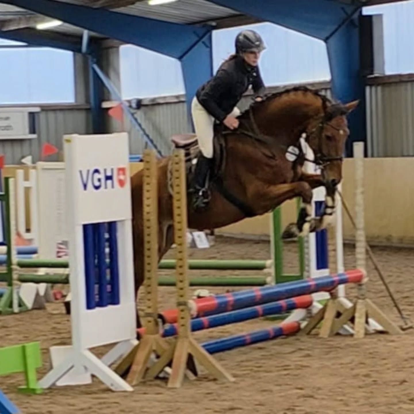 ✨ Bacardi hat sein neues Zuhause gefunden! ✨
Wir freuen uns sehr, dieses tolle Nachwuchsspringpferd in beste Hände übergeben zu können. Bacardi wechselt in einen renommierten Sportstall, wo er nun die Chance hat, sein gesamtes Potenzial zu entfalten.
Wir sind unglaublich gespannt auf seine Zukunft und wünschen seinem neuen Team alles Gute und ganz viel Erfolg auf dem gemeinsamen Weg. 🍀💫
Danke, Bacardi, dass wir dich ein Stück begleiten durften – wir freuen uns darauf, deinen Weg weiterzuverfolgen. 🤍🐴
#springreiten #reitturnier #reitsport #reitpferd #springpferd #horsesofinstagram #equestrianlife #pferdeliebe #jungpferdeausbildung #nachwuchspferd #futurestars #younghorses #pferdezucht #verkaufspferd #verkaufspferde #saleshorse #horsesforsale #showjumpersales #dreamteam #maresilange