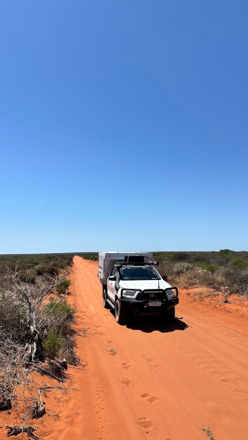 __outback roads hit different when it’s just you 🛻💨
#outback
#dirtroadlife
#toyotahilux4x4
#toyotahilux
#trayoncamper
#4wdaustralia
#adventureawaits
#fypage
#exploremore
#bridgestone
#overlandlife
#fyp
#reddirtcountry
