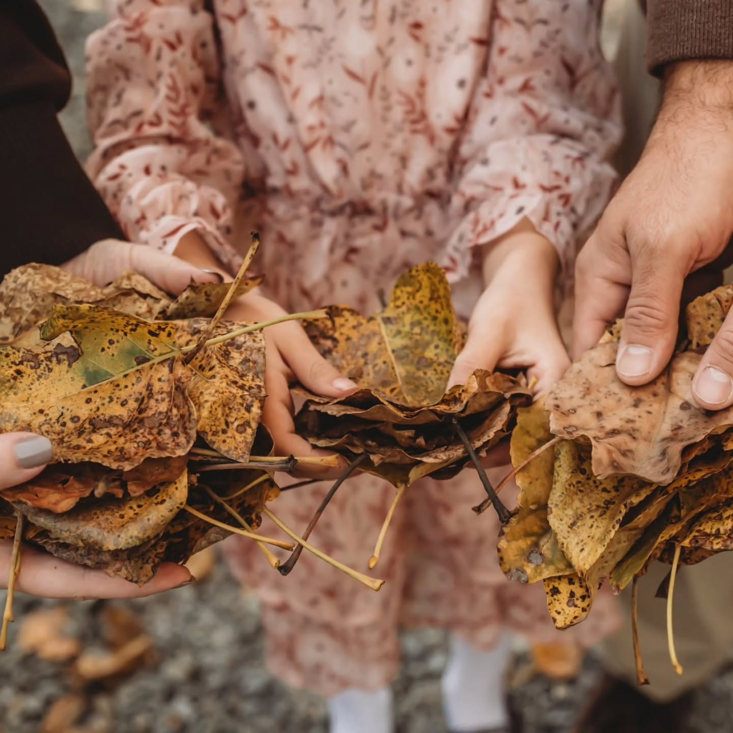 Golden hour in the fall just hits different — soft light, warm tones, little hands reaching for leaves, laughter that echoes in the air for only a moment before it slips into memory... 🍁🍂
Sessions like this remind me why documenting your family now matters so much. Our kids don’t stay little for long. Their smiles change, their steps get steadier, and their personalities bloom in ways we want to remember forever. Photos are the closest thing we have to hold on to these fleeting seasons — to the chaos, the giggles, the tenderness, and the way it feels to love your people right now. ✨️
This is why I do what I do. To freeze the in-between moments you’ll one day look back on and say, “I’m so glad we captured this.” 🥹🫶