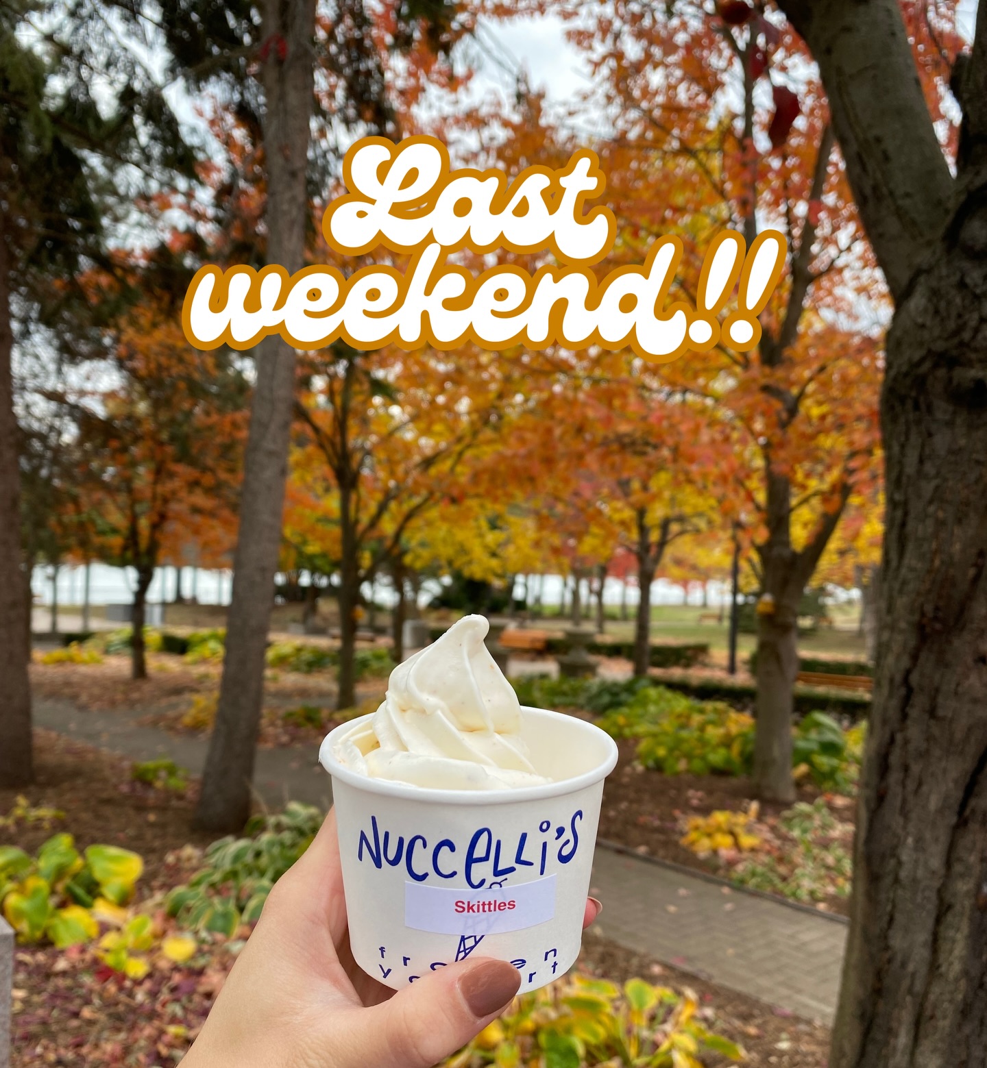 LAST CALL FOR NUCCELLI’S 🎉🍦
Our final weekend of the season is here!
Stop in for a goodbye swirl (until spring!) and grab some to-go cups to hold you over the winter 👀
Hours for this weekend:
Friday 3–8 PM
Saturday 12–5 PM (before the Santa Clause parade downtown!)
Sunday 12–7 PM
We’re so lucky to be part of such a supportive community. Thank you for another unforgettable season❤️🥳
#FrozenYogurtLove #essexcountyeats #PureJoy #Nuccellis #IceCream #FrozenYogurt #Froyo #YQG #YQGBusiness #YQGFood #Amherstburg #Windsor #Lasalle #Kingsville #Harrow #Essex #explorepage #WindsorEats #Yummy #Dessert #Shoplocal #SupportLocal #YQGStandStrong #TakeOut #ontarioeats #OntSouthwest #DiscoverOntario