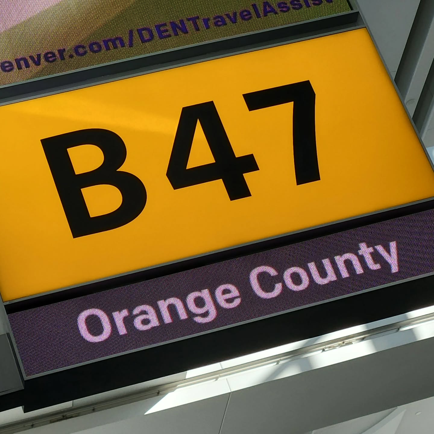 See you soon Cali! 🛫🐑🖤