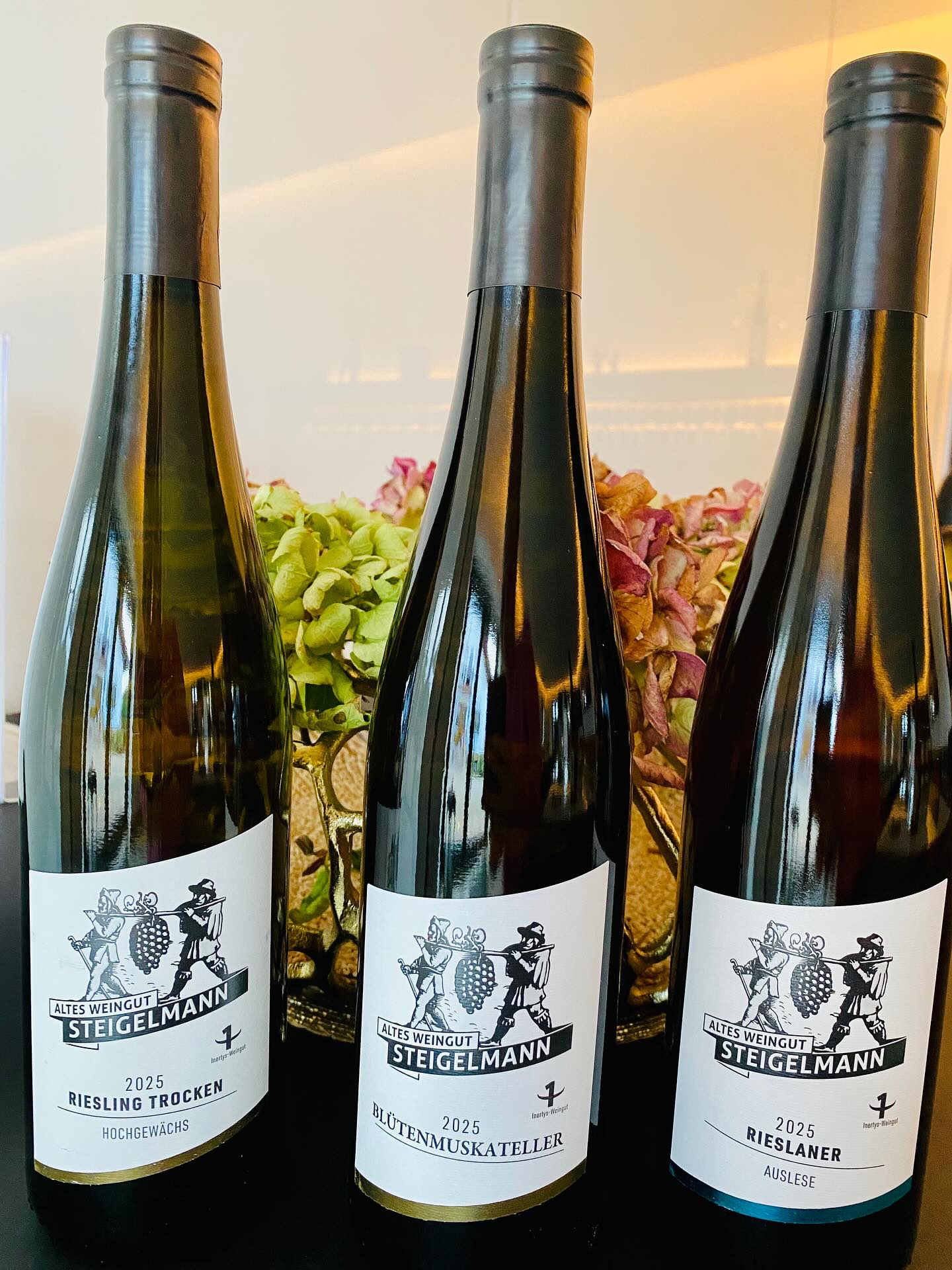 Unsere drei neuen 2025er Weine sind nun ab sofort bei uns erhältlich 🥂🥂🥂
⭐️ BLÜTENMUSKATELLER trocken (der Außergewöhnliche)
⭐️ RIESLING HOCHGEWÄCHS trocken (der Beständige)
⭐️ RIESLANER AUSLESE edelsüß (die Verführung)
Lasst euch von diesen drei sehr unterschiedlichen Weinen begeistern.
Bei uns im Weingut gibt es 0,30€ Rabatt (pro Flasche) - ab 6 Flaschen Weineinkauf, per Post ab 12 Flaschen versandkostenfrei.
So fängt die vorweihnachtliche Zeit genussvoll an 🎄
Wir freuen uns auf Euren Besuch!
#new #wein #2025 #blütenmuskateller #riesling #vinothek #rieslanerauslese #mussbach #neustadtanderweinstrasse #pfalz #weingut #steigelmann #winestrandmussbach