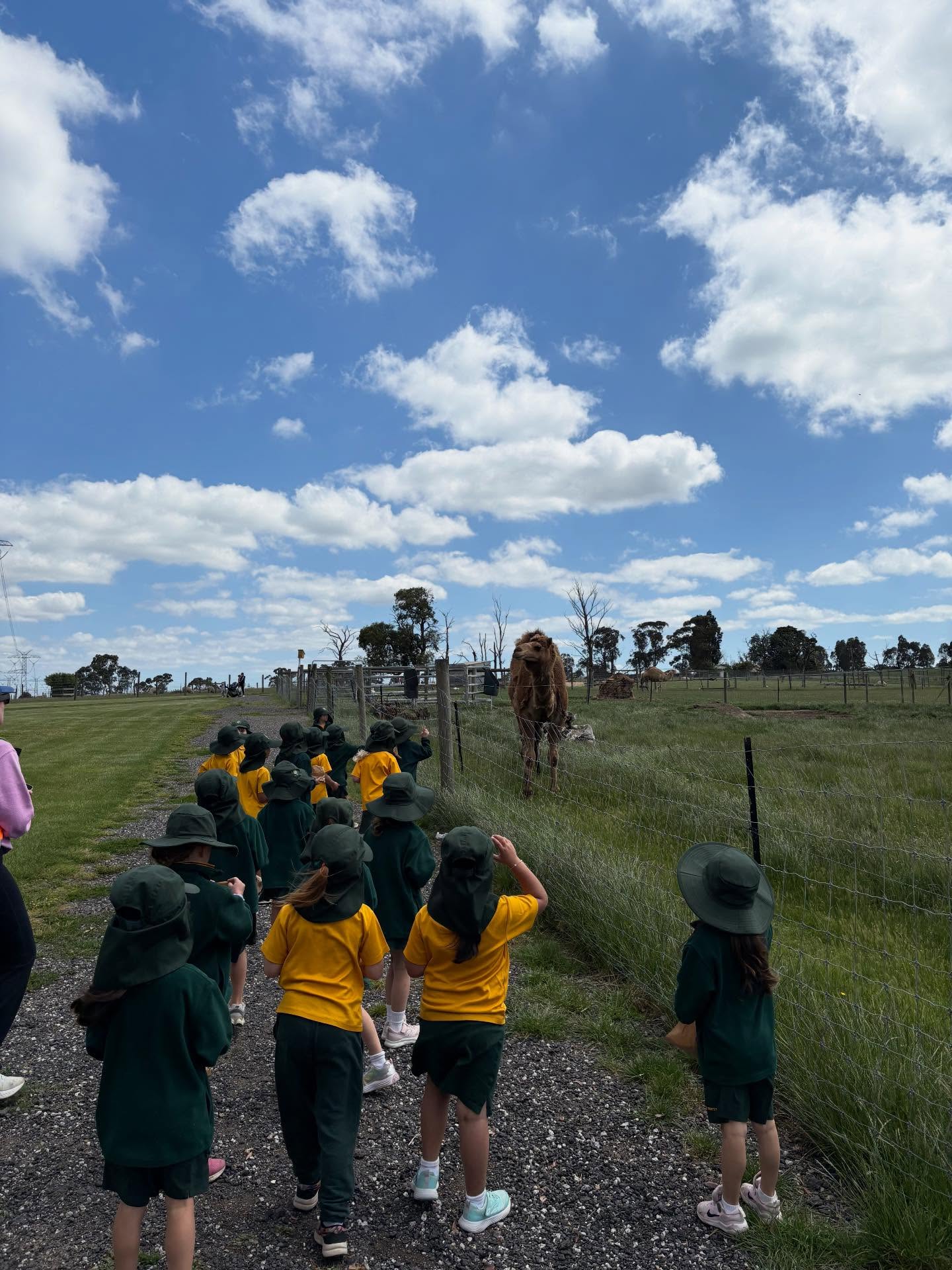 ☀️ Chesterfield Farm pt. 2 ☀️