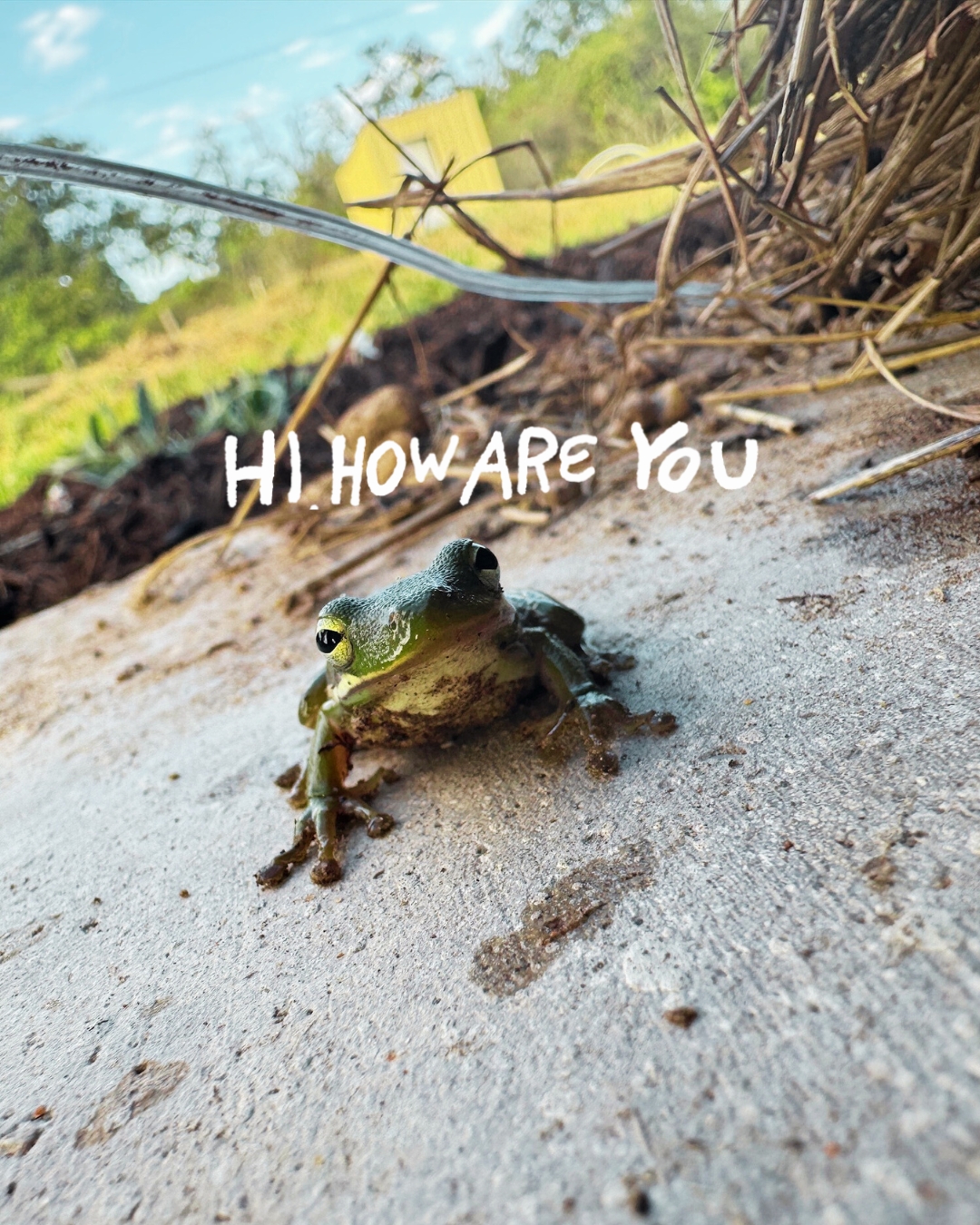 Did you get your fill of turkey & stuffing?
#hihowareyou
#austintx