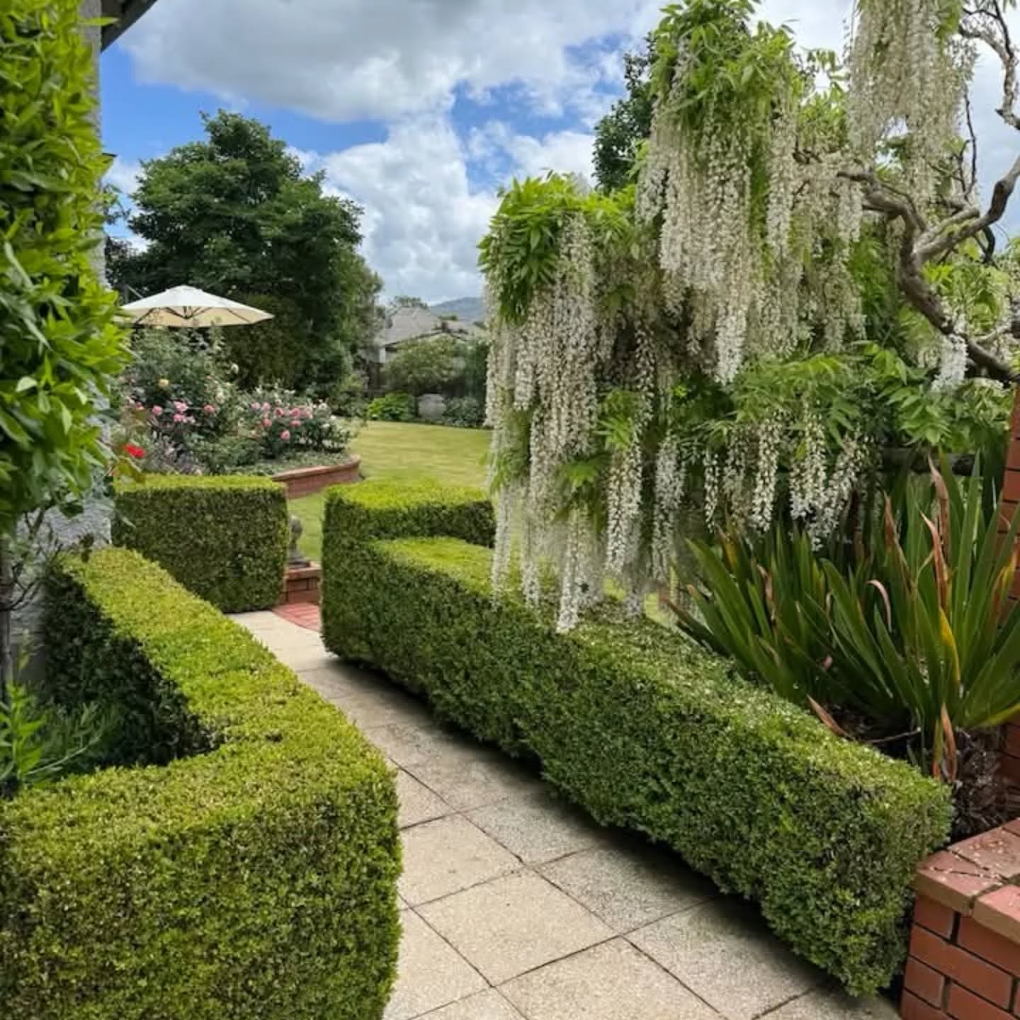 One of the fabulous gardens from the festival
Photo - Trish Adler