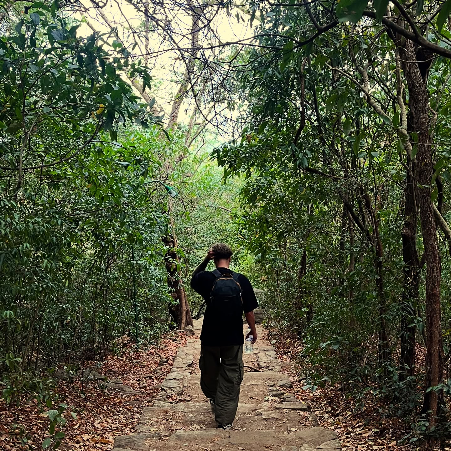 Discovering life.
Backpack on, experience loaded.
Ready for whatever’s next.
Always hungry to discover, to play, to explore.
The real journey starts within.
Calm mind.
Creativity unleashed.
Bring it on.
🌴🌱🌎🎒⚡️
#readytodiscover #onthemove #bringiton #nature #exploremore