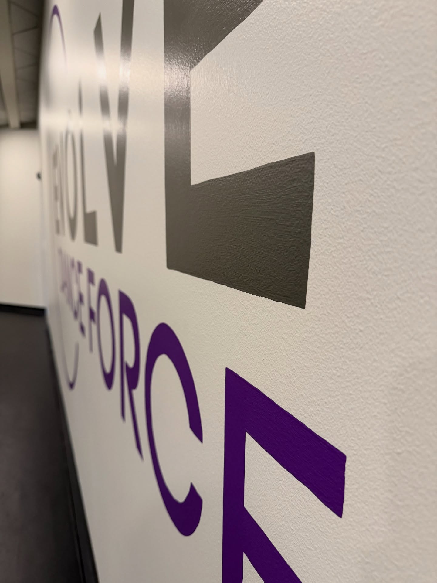 Some before and afters of our latest commercial project! Our daughter’s teacher from last year, Angela, recently took over this yoga studio for her talented dance team EVOLVE! We gave everything a fresh coat of paint and rebranded the walls. Now it feels like home. This was so fun to work on and I’m so thankful for wonderful teachers like her🙏. @amaloblocki