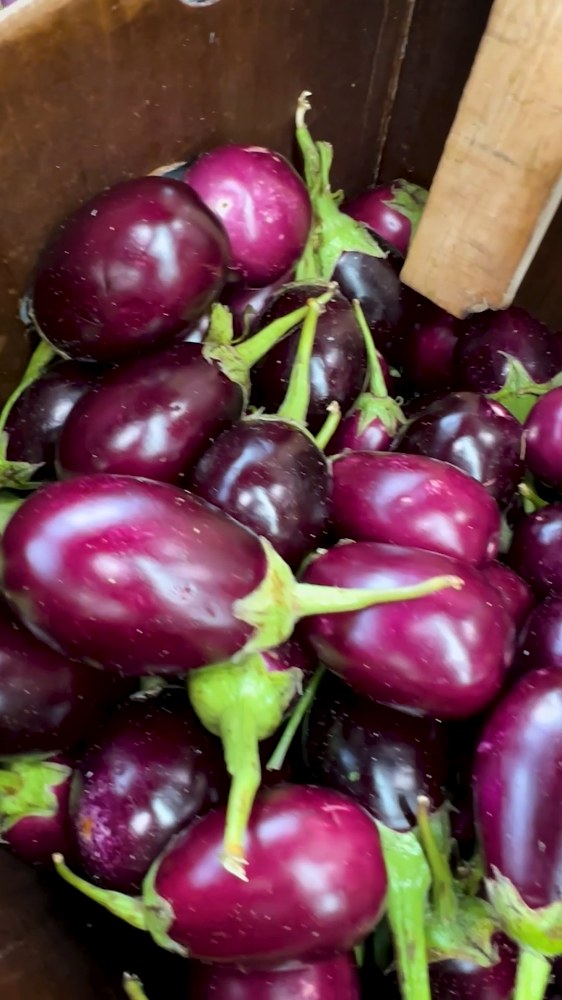 Tiny but packed with flavor—Indian eggplants are ready to shine in your favorite dishes! 🌿
📍Shop with us at 6502 Fort Hamilton Parkway
📲Order your groceries online via @shopmercato and @instacart with the link in bio.
#brooklyn #grocery #GroceryHaul #FreshFinds #MarketFresh #InSeasonNow #ShopLocalProduce #GroceryRun #FreshFromTheAisle #StorePicked #ProduceSectionGoals #GroceryFavorites #ZucchiniLove #HealthyCart