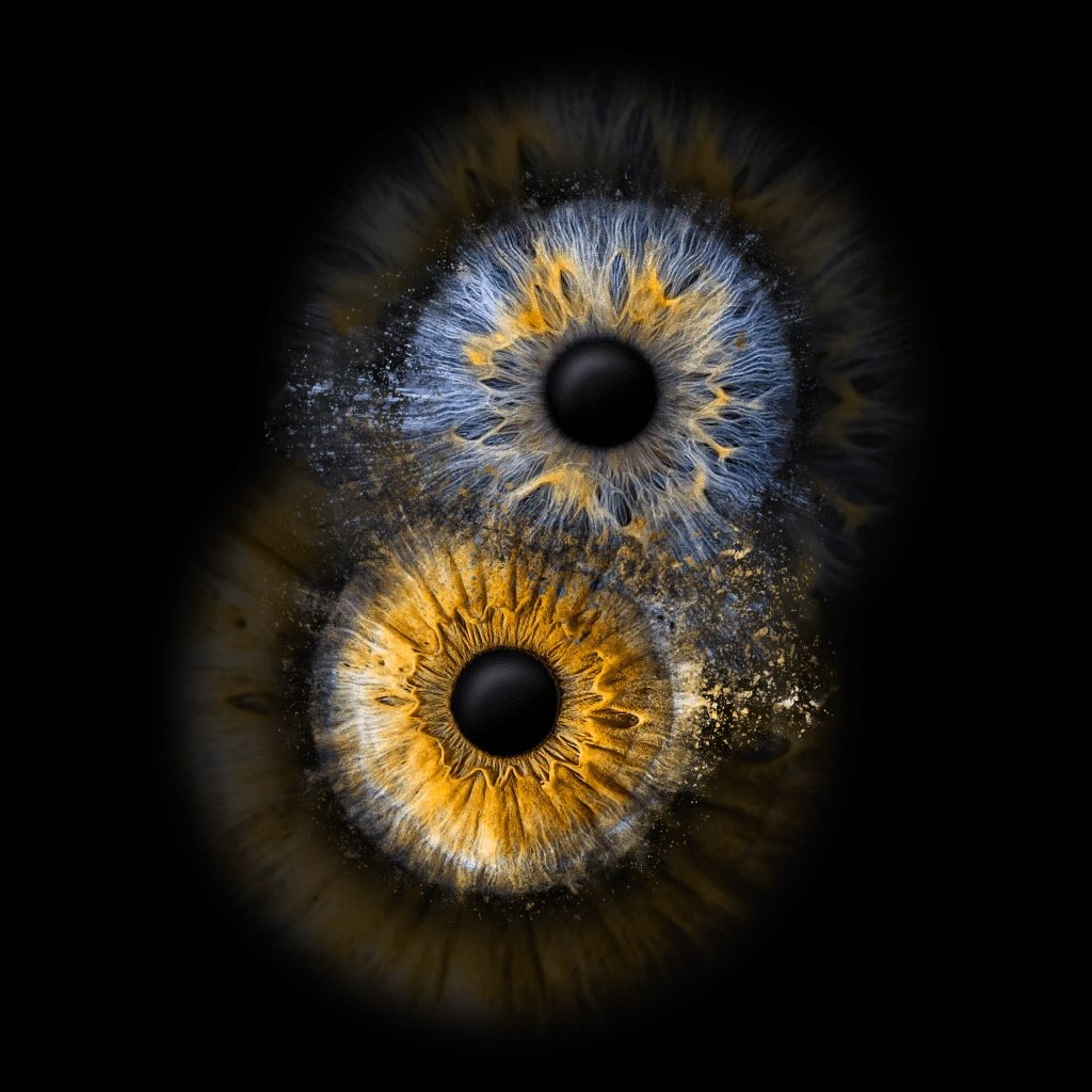 We should be getting our iris camera in this week. You will be able to schedule pictures as walk ins or with appointments