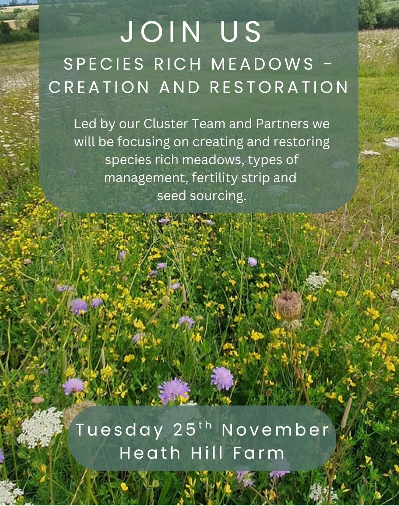 Join us for a site visit to look at the Heath Hill Farm Restoration site. In attendance will be @fwagsouthwest @cotswoldsnl and @cotswoldsriverstrust to talk through the restoration management plan as well as discussing key elements on establishing and maintaining species rich meadows.
This event is open to NECFC Farmer members, followers and friends. To find out more or to RSVP please click on the link in the bio.
🌱 Tuesday 25th November
🌱 11.30am - 1.30pm
🌱 Heath Hill Farm, Cheltenham, GL54 2EZ
🌱 Please Register your attendance via the link in our bio
#RegenerativeAgriculture #SoilHealth #SustainableFarming #FarmingWithNature #RegenAg #NECotsCluster #SharingKnowledge