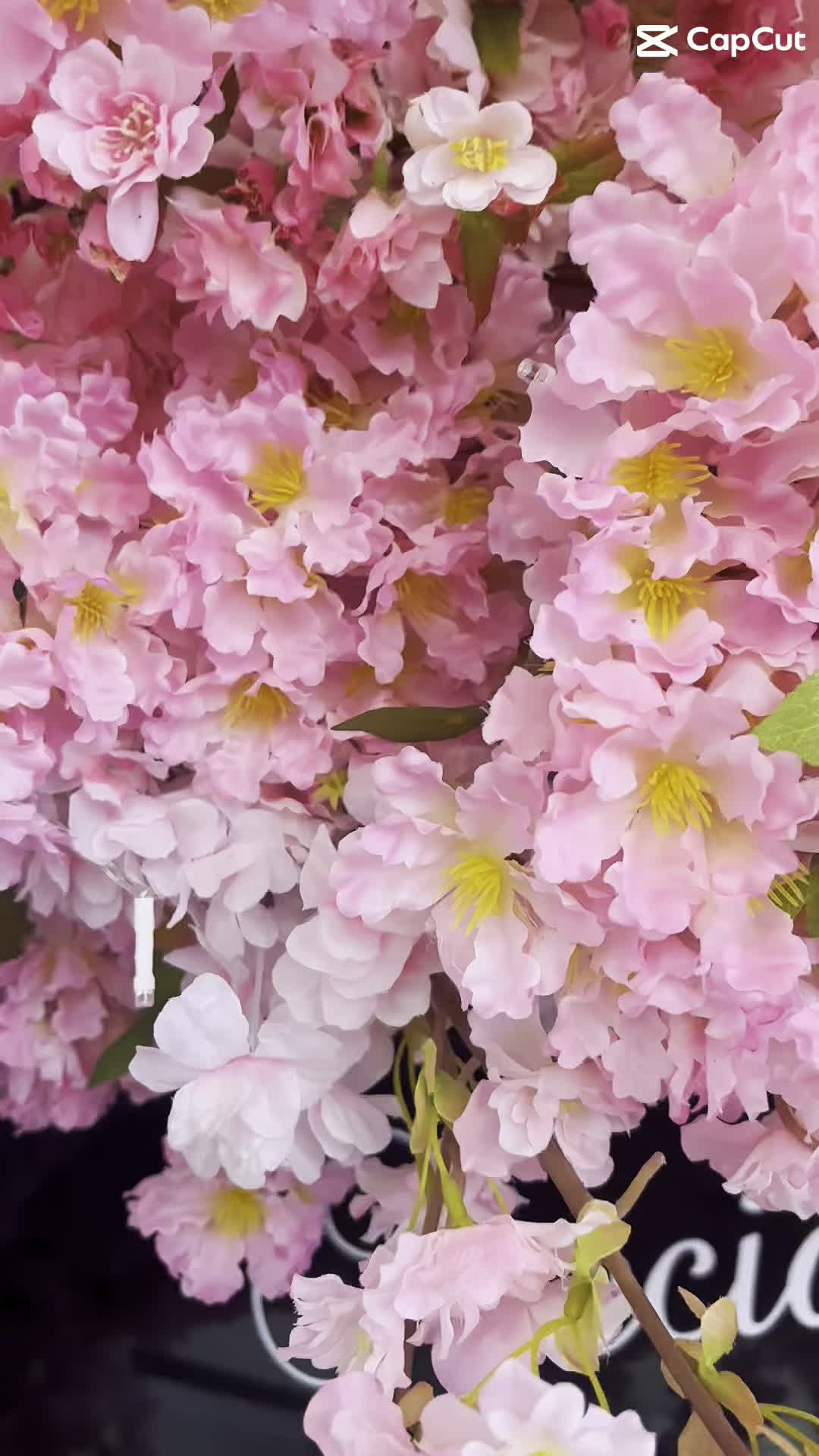 Beaujolais Day ๐ท