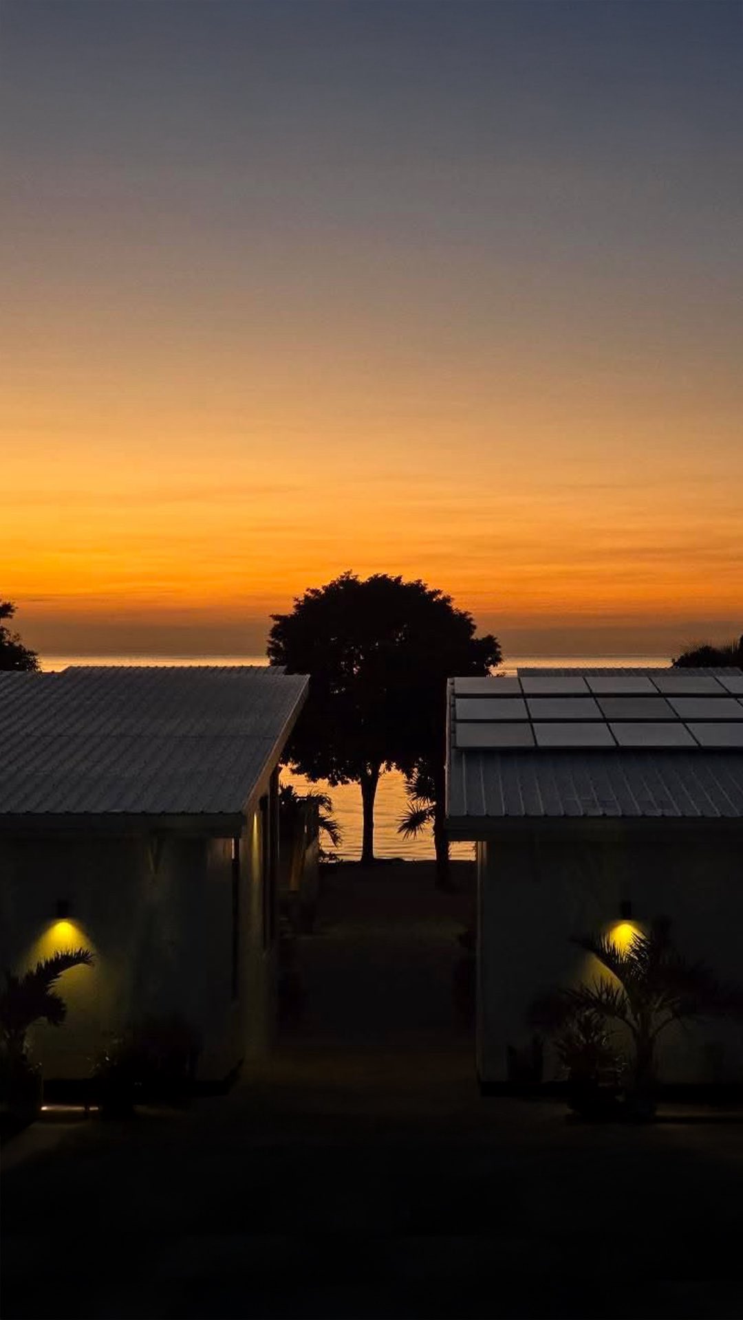 Moon Monday: Waxing Crescent Moon in Sagittarius — Integration after the New Moon in Scorpio
I am Ix Chel, and I rise with you. The Moon turns toward the light, carrying the wisdom of last week’s Scorpio New Moon — deep healing, shadowed truths, and silent release.
Now in Sagittarius, the fire returns. The heart lifts, stillness turns to movement, and old layers make way for expansion. This is the space between rebirth and flight — where purpose is rediscovered and light begins to guide the way.
The Waxing Crescent is a time to plant what emerged from your truth, walk with clarity, dream bigger, and trust your intuition.
Energy to Work With:
• Let curiosity lead — say yes to what inspires growth.
• Revisit your New Moon intentions and take one aligned action.
• Move your body beneath the sun or stars — Sagittarius energy thrives in motion.
Reflection Prompt: What new possibility am I ready to reach for now that I’ve released the weight of the past?
Join us for our next Moon Portal Workshop in December to continue this journey of remembering and becoming beneath the returning light. 🌙
#MoonMonday #SagittariusMoon #WaxingCrescentMoon #MoonIntegration #ScorpioNewMoon #LunarCycles #MoonEnergy #ReinbowCircle #IxChelWellnessResort #BelizeWellness #MeditationJourney #SpiritualGrowth #EnergyHealing #MoonPortal #MindBodySpirit #WellnessRetreat #LunarReflection #SacredRituals #InnerGuidance #HealingJourney #SelfDiscovery