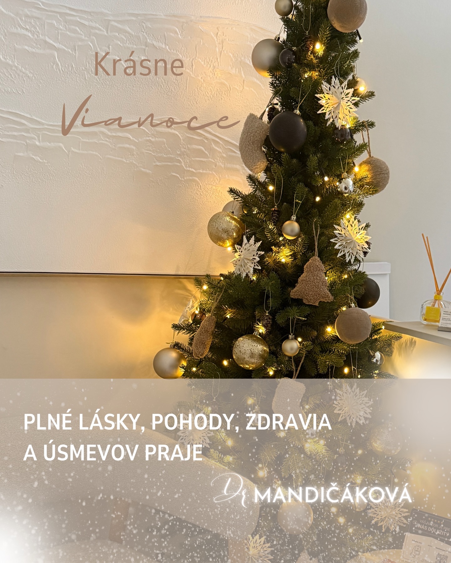 🎄✨ Prajem vám krásne a pokojné Vianoce plné pohody, zdravia a úsmevov.
Nech sú tieto sviatky časom radosti, oddychu a chvíľ s tými, ktorých máte najradšej. ❤️ Dr. Mandičáková 🦷✨ #drmandicakova #Zdravie #Usmev #Kosice #Ortodoncia
