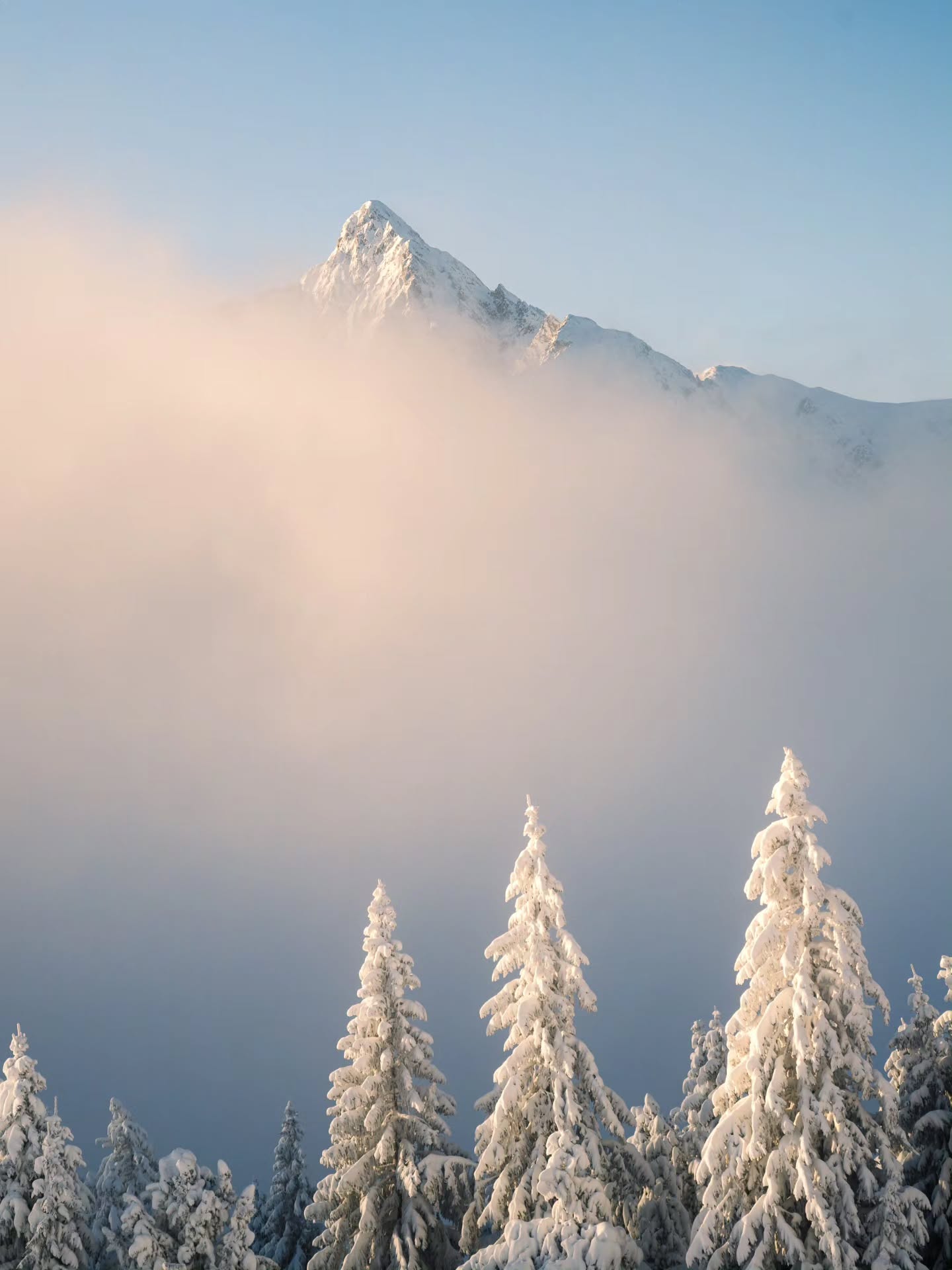 One of those magic mornings with beautiful light and fog in a winter wonderland.