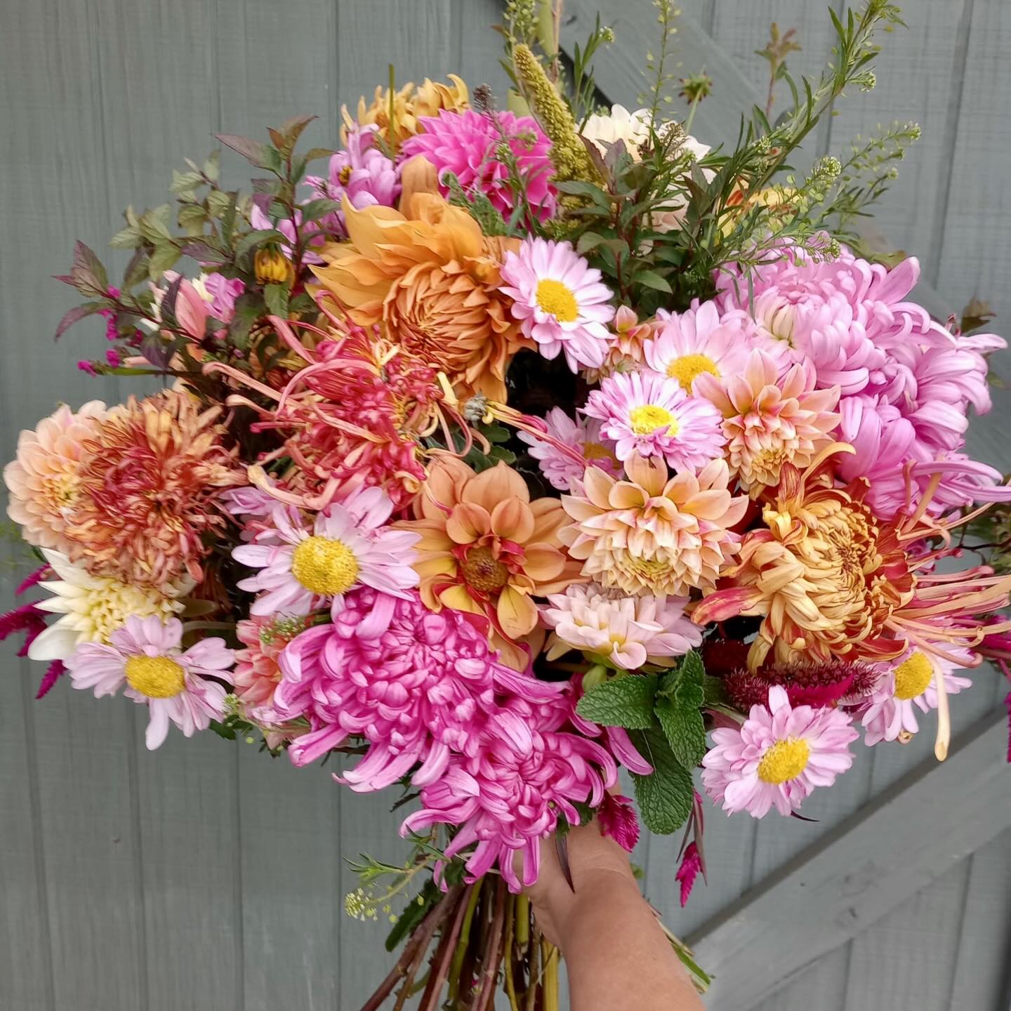 Our growing season has come to an end. The freezing temps we’ve had recently killed the remaining dahlias and mums that were blooming. Thank you all for an amazing season! We appreciate your support whether you’re a subscriber, loyal market customer or simply help spread the news about our mission with others in the community. Most of all I’m so grateful for the words of encouragement, pep talks and enthusiasm you shared during a pretty challenging season. We ❤️ you!
We’re focusing on rest and family time this week, but we’ll be back in the studio next week getting ready for several Christmas markets. We’ll fill you in with the details soon. Have a Happy Thanksgiving!