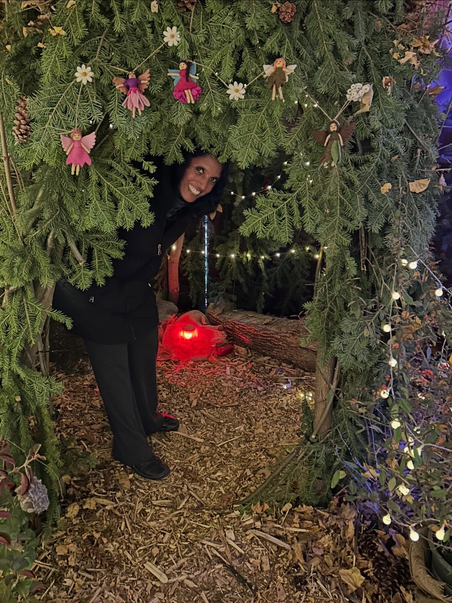 I love a good fairy forest #boulder #holidays #festive #fairyforest