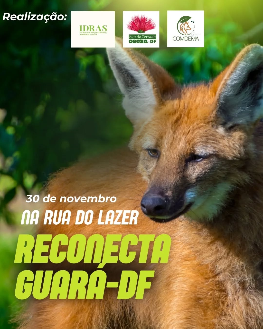 RECONECTA GUARÁ-DF: Sua Atitude Transforma! ♻️
Prepare-se para um dia inteiro de aprendizado e ação socioambiental! O RECONECTA GUARÁ-DF chega à Rua do Lazer para provar que a transformação começa no seu território.
🗓️ Quando: 30 de Novembro
⏰ Início: 8h da manhã
📍 Onde: Rua do Lazer do Guará @ruadolazerdoguaraoficial (RA X)
Entrada: Totalmente Gratuita e Aberta a Todos!
Nossa missão é clara: fomentar a descentralização da Educação Socioambiental e promover o valor e a necessidade da cooperação em nível local na solução dos problemas socioambientais e econômicos. Acreditamos que o coletivo é a base para a transformação e que a responsabilidade cidadã precisa ser movimentada!
👉 O que teremos?
Palestras sobre Resíduos Sólidos, Compostagem e Minhocário.
Ação de Recolhimento de Resíduos Eletroeletrônicos! Traga seu lixo eletrônico para o descarte correto!
Apresentação de materiais educativos (Cartilhas sobre Coleta Seletiva e Compostagem).
Debate sobre Sustentabilidade no Guará.
Somos uma parceria entre CECSA-DF e COMDEMA Guará — porque a Comissão de Defesa do Meio Ambiente é um alicerce fundamental para as nossas comunidades.
Seja muito bem-vindo(a) à RA X! Juntos, Reconectamos!
@blogdazuleika
#ReconectaGuaráDF #SustentabilidadeNoGuará #Compostagem #ColetaSeletiva #CECSADF #COMDEMAGuará #MeioAmbienteDF #EducaçãoAmbiental #LixoZero #Guará