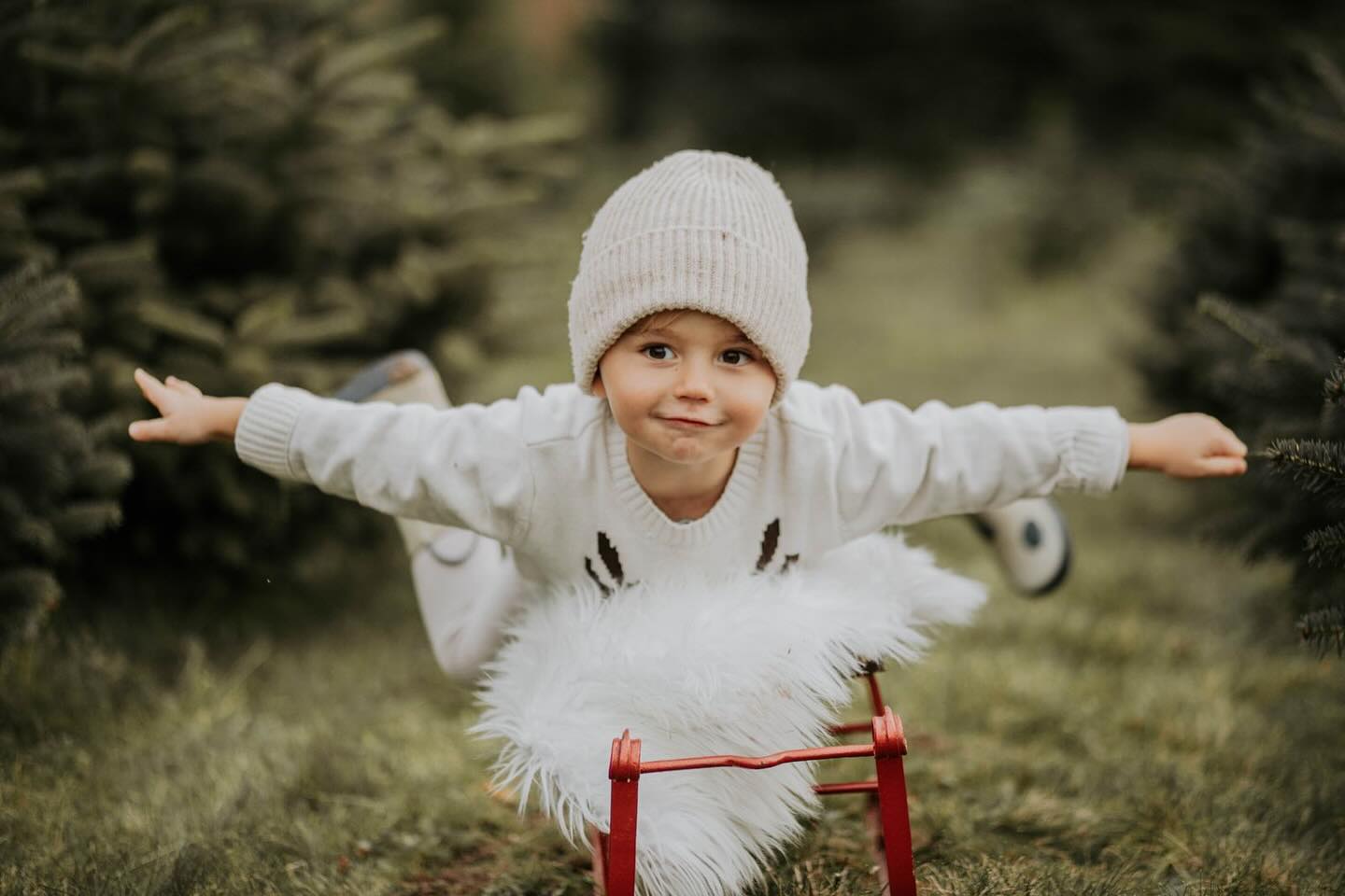 Snow is falling all around me
Children playing, having fun
It’s the season, love and understanding
Merry Christmas everyone
Immer wieder schön zu sehen, welche Bilder dieses Jahr unter euren Weihnachtsbäumen liegen✨
#weihnachtsshooting#christmas#tannenbaum#schlitten#shooting#eb#fotografie#Weihnachtsgeschenke