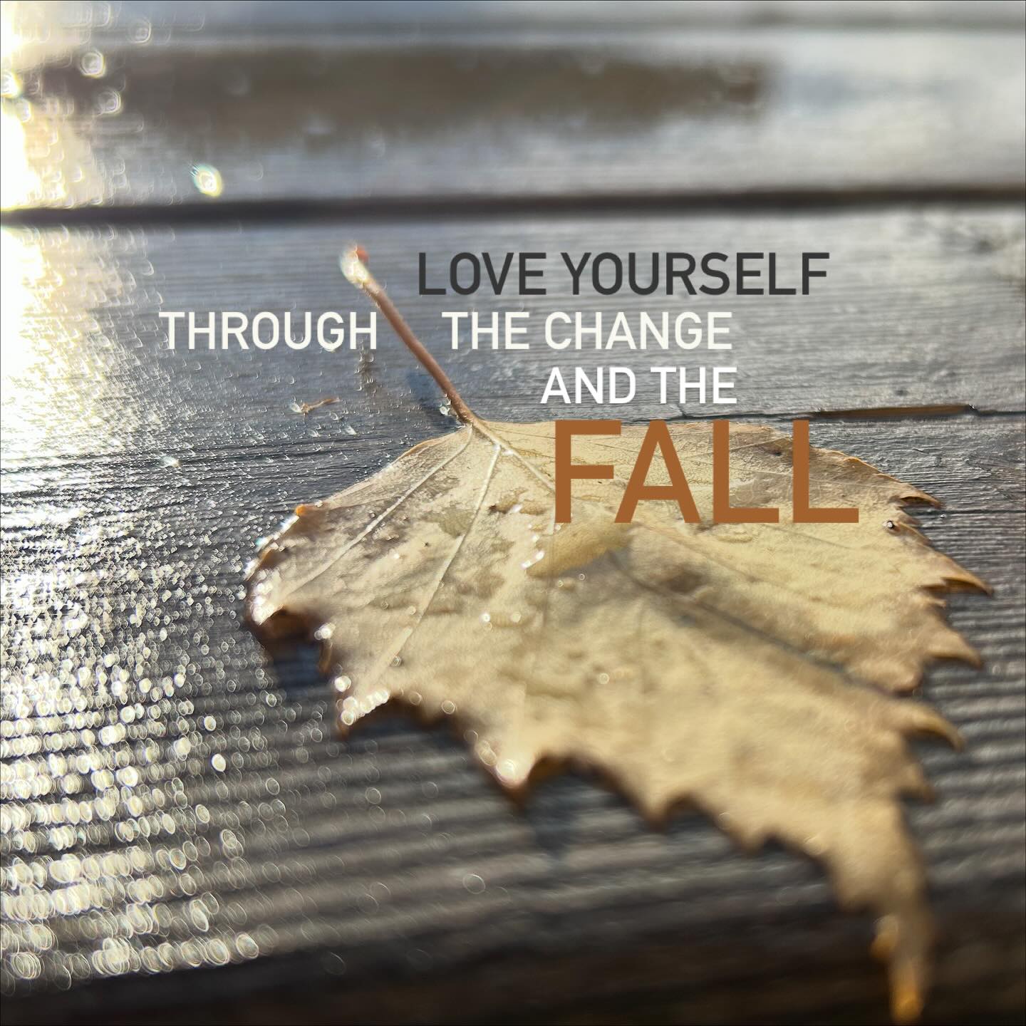 Love yourself
through
the change and
T H E F A L L