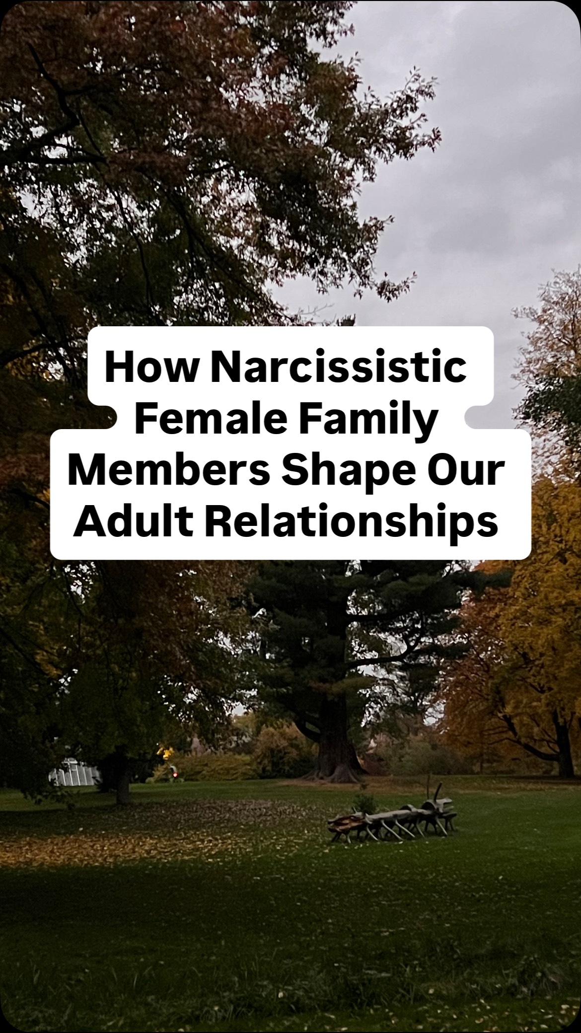 What’s your experience with narcissistic female family members?
Their control, jealousy, or emotional manipulation can echo far beyond childhood — shaping how safe you feel in closeness, trust, and love as an adult.
Healing means learning to recognize those old dynamics when they reappear — and choosing differently this time.
You’re not obligated to carry the emotional legacy of those who couldn’t love you from their healed selves.
💬 How does this show up in your adult relationships?
#NarcissisticAbuseRecovery #FamilyHealing #InnerChildHealing #SelfWorthJourney