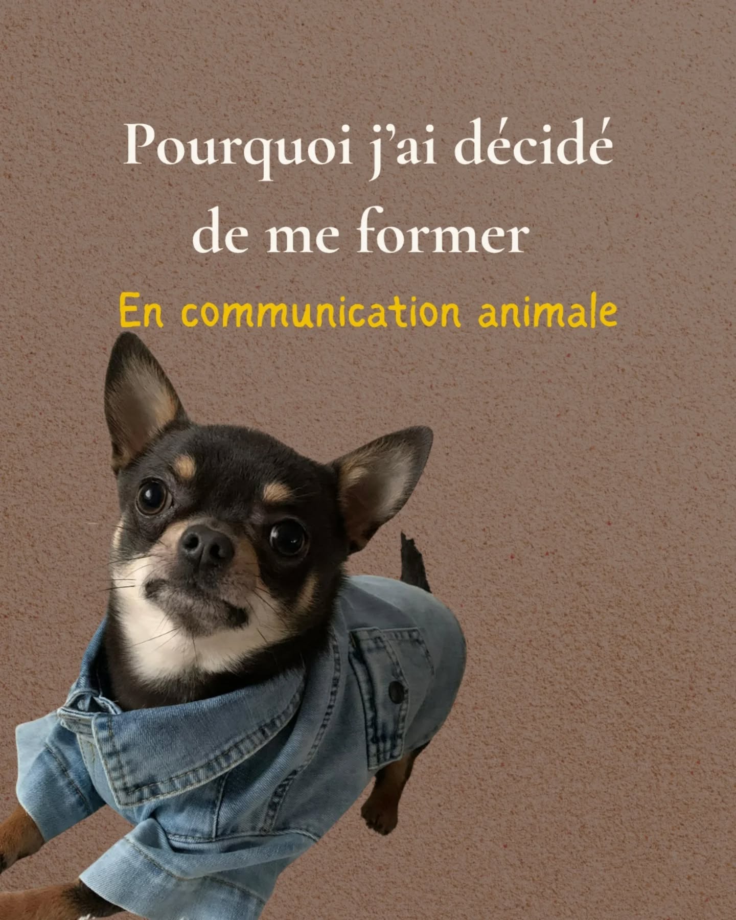 Je n’ai pas choisi la communication animale comme on choisit une formation, c’est elle qui m’a trouvé.
Elle s’est glissée dans mon quotidien à travers un massage donné par amour, et un ressenti que je ne comprenais pas encore.
À chaque étape, quelque chose venait me dire : “Continue. Tu es exactement là où il faut.”
J’ai d’abord douté, je me suis demandé si j’avais ma place, si j’allais y arriver, si ce que je ressentais était “réel”.
Et pourtant, plus j’écoutais, plus tout devenait évident : les mains qui chauffent, le citron qui réagit, les lectures qui s’enchaînent, l’amie qui m’envoie un lien au bon moment…
Comme si l’univers m’avait laissé une suite de traces à suivre.
La formation est arrivée comme une réponse.
Comme si tout prenait forme d’un coup.
Comme si je retrouvais une langue que j’avais toujours su parler, sans jamais l’avoir apprise.
Aujourd’hui encore, quand je travaille avec un animal, un humain ou un lieu, je repense à ce chemin-là : le jour où j’ai compris que je pouvais vraiment aider, le jour où j’ai accepté ce que mes mains savaient déjà, le jour où j’ai décidé de prendre ma place.
Et toi, qu’est-ce qui t’a conduit vers ton métier ?