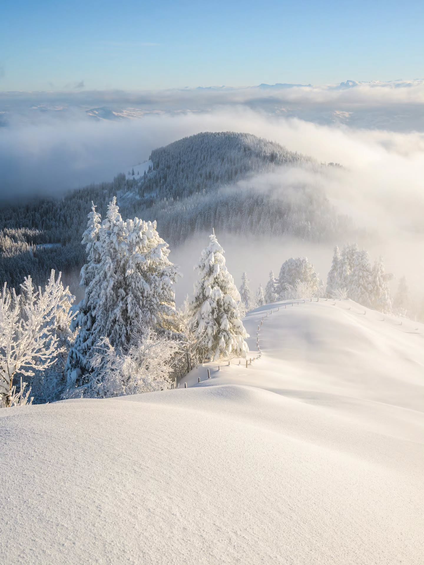 My frozen eyebrows slowly thaw in the sunlight as the view onto the beautiful winter wonderland finally reveals. The freezing cold fog now gently flows over the soft hills and creates this dreamlike atmosphere.