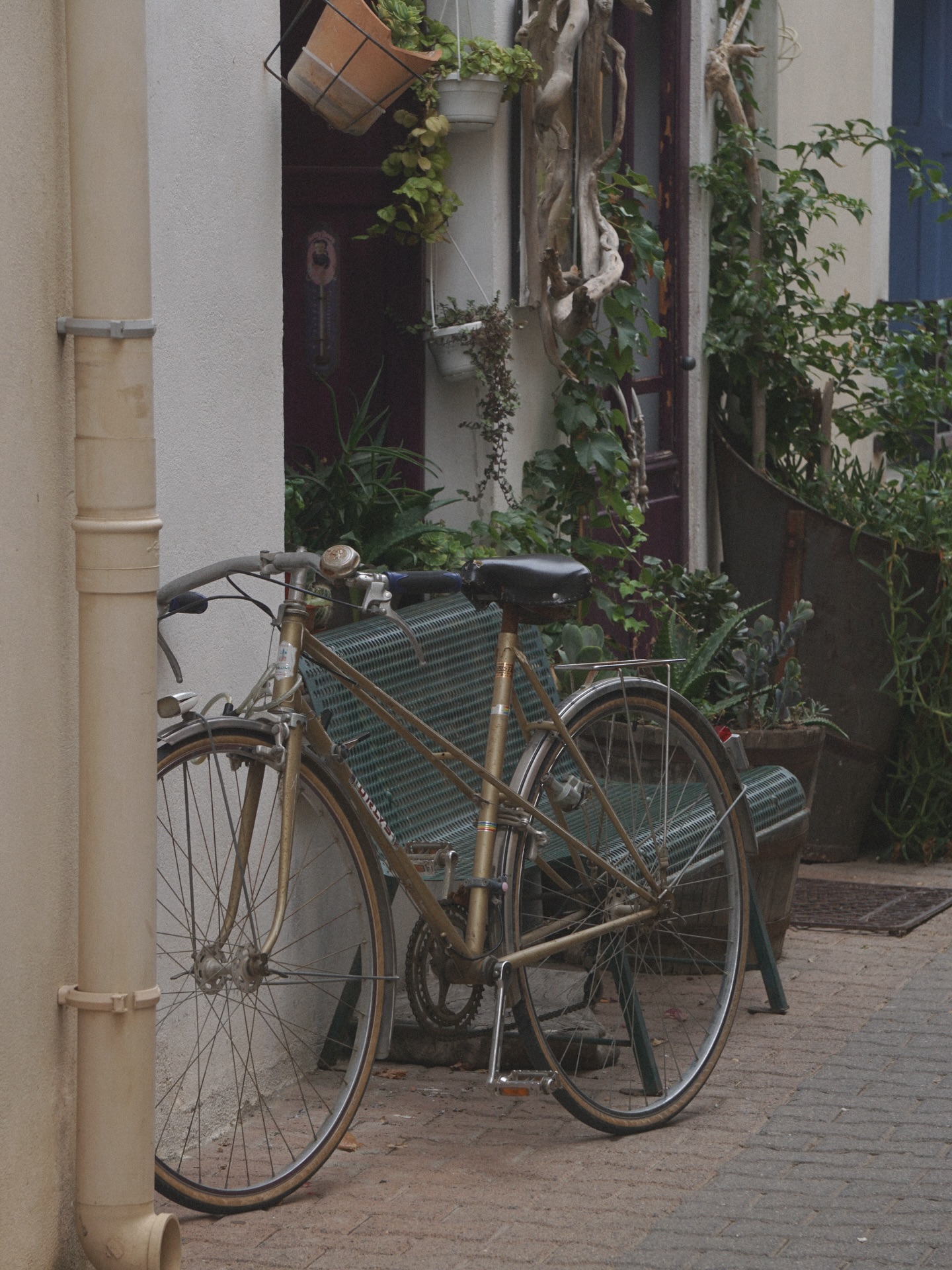 #theheracircle #aesthetic #womansupportingwoman #femalebusiness