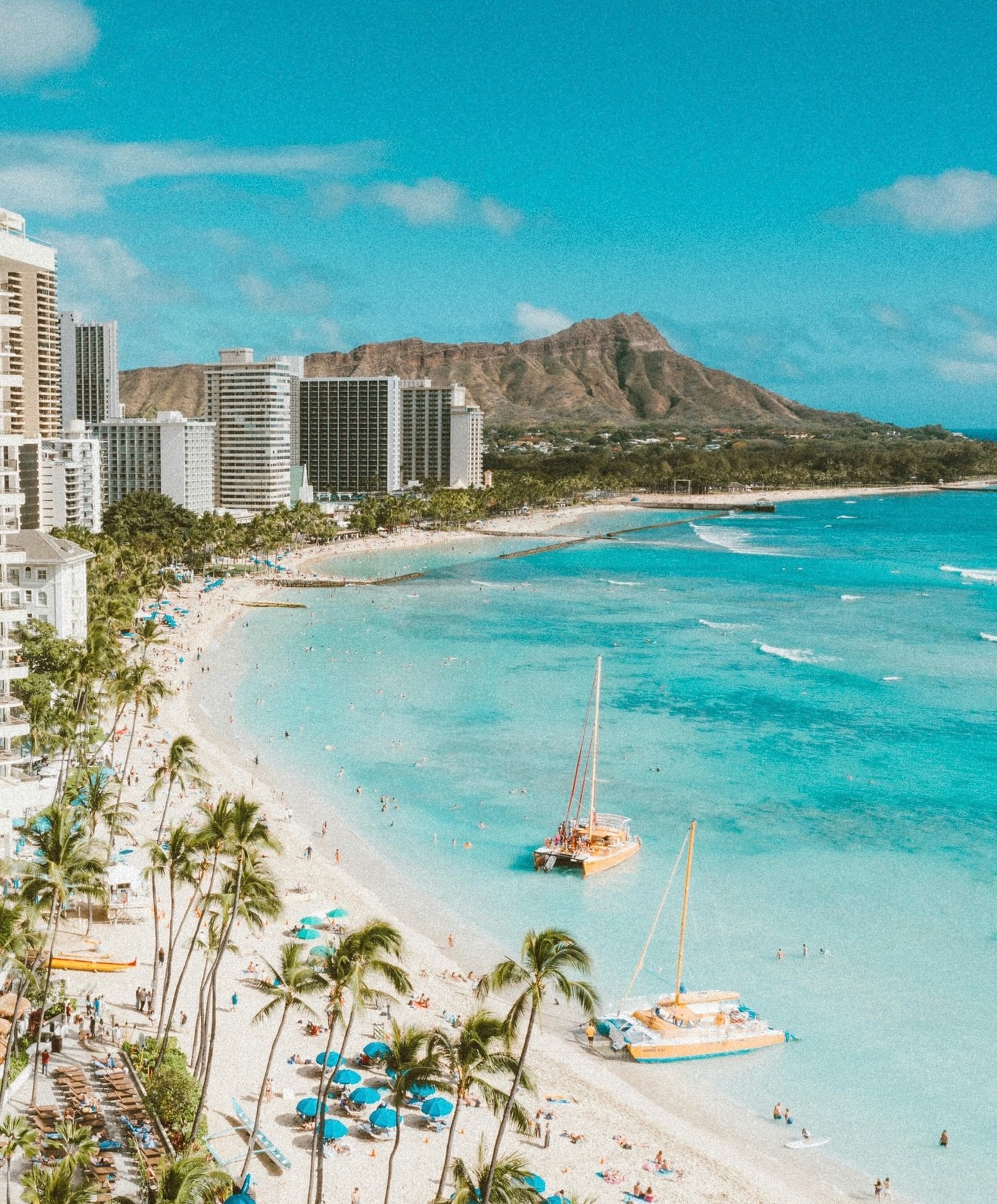 Aloha Friday from our favorite kind of view 🌊✨ Wherever you are today, take a moment to breathe deep, soak up the good vibes, and nourish yourself with food that feels as refreshing as a dip in Waikīkī. Eat Pono, live pono, and let the weekend begin 💛
#EatPono #AlohaFriday #HawaiiVibes #Hawaii