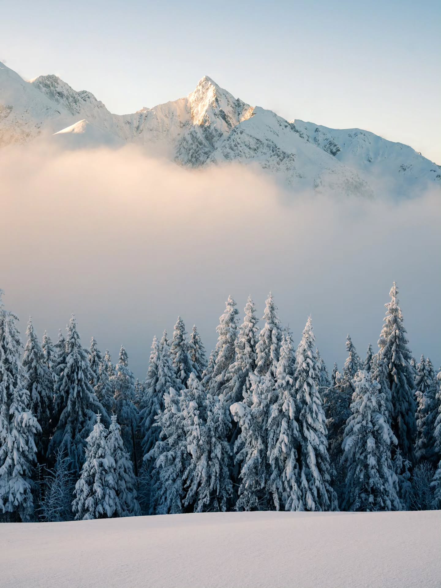 Calm moments above the fog.
I don't often convert my pictures to black and white, but these two photos of the mountains Ochsen & Gantrisch were just perfect to be presented monochromatic. Should I add them to my print store?