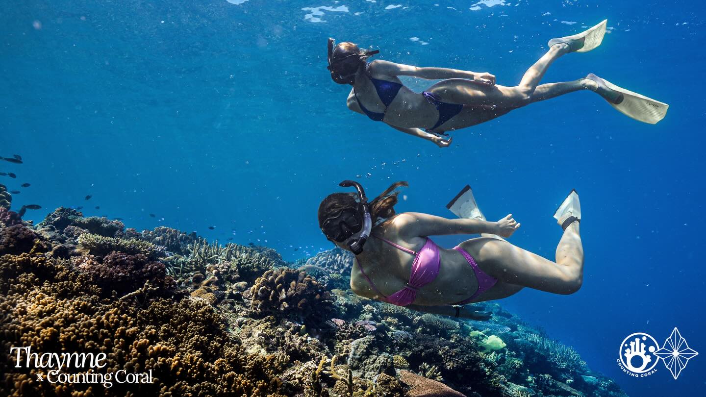 Teammates & volunteers Brooke & Gaia wearing @thaynneswimwear during reef surveys at @castawayislandfiji earlier this year.
For each piece sold, @thaynneswimwear is donating €15 to help us raise money for secondary coral nurseries to be donated at both @bluelagoonfiji and @castawayislandfiji.
If you need a new bikini, or know someone who might, please check out @thaynneswimwear. It takes a village and we're so grateful for all the support. 🪸!!
