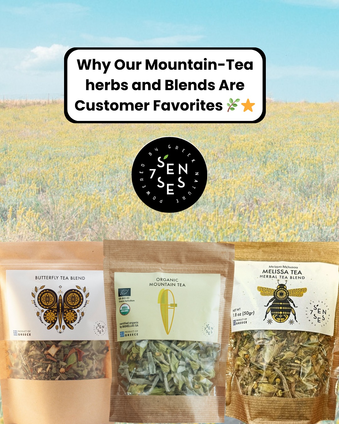 🌿✨ Discover the herbal blends everyone’s talking about ✨🌿
From the peaks of Greece to your cup, our organic Greek herbal teas are crafted to nourish, soothe, and elevate your daily ritual.
Today we’re spotlighting three customer favorites — each featuring the natural power, aroma, and wellness benefits of Greek Mountain Tea:
🌿 Organic Greek Mountain Tea: Pure, organic and antioxidant-rich.
🦋 Butterfly Tea Blend: A vibrant, mediterranean with orange, cinnamon and spearmint, mood-brightening infusion with Mountain Tea at its core.
💛 Melissa Tea Blend: A Calming, comforting, and beautifully balanced with lemon balm, Mountain Tea, cinnamon and other amazing herbs.
Whether you need a boost, a moment of calm, or a colorful cup to brighten your day, there’s a blend waiting for you.
✨ Sip the Greek difference: organic, caffeine-free, and crafted with love. 20% off until Dec 1st!
#SevenSensesOrganic #GreekMountainTea #OrganicHerbalTea #HerbalWellness #TeaLovers #GreekHerbs #CaffeineFreeTea #NaturalWellness #OrganicTeaCommunity