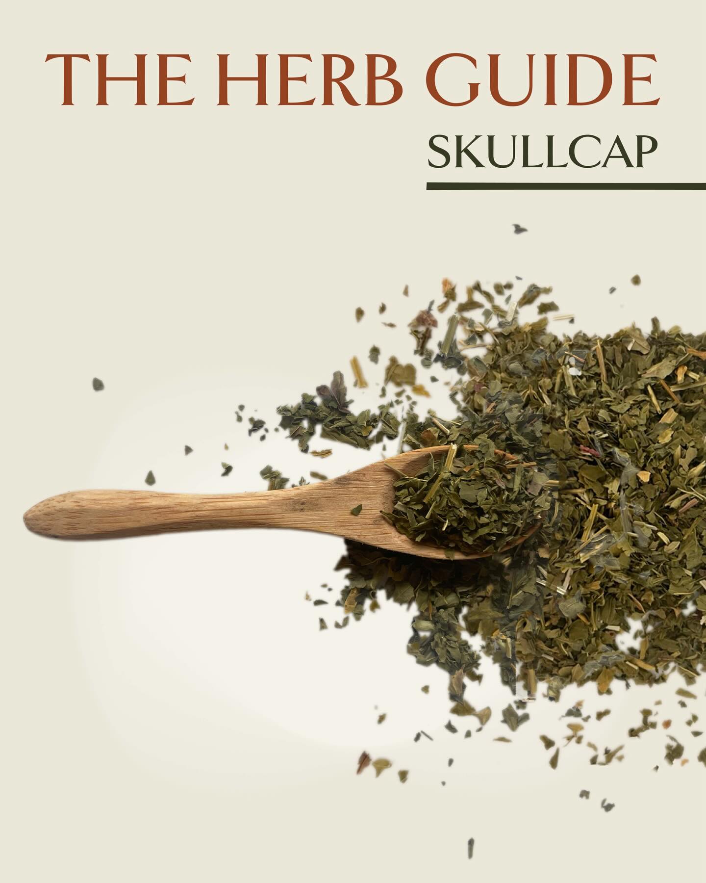 Every herb has a story. Today’s spotlight is our powerful skullcap!
