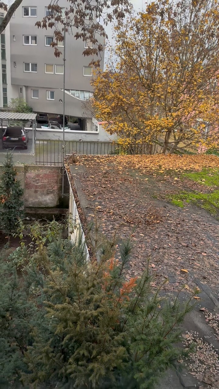 Ein Baum hat das Garagendach voll mit Laub und Lästen bedeckt, die Rinne ist zu – wir zeigen, wie wir es sauber kriegen, auch von oben. Ganz normal zu dieser Jahreszeit. #keepitclean #hausmeisterservice #immobilien #gartenarbeit #handwerk