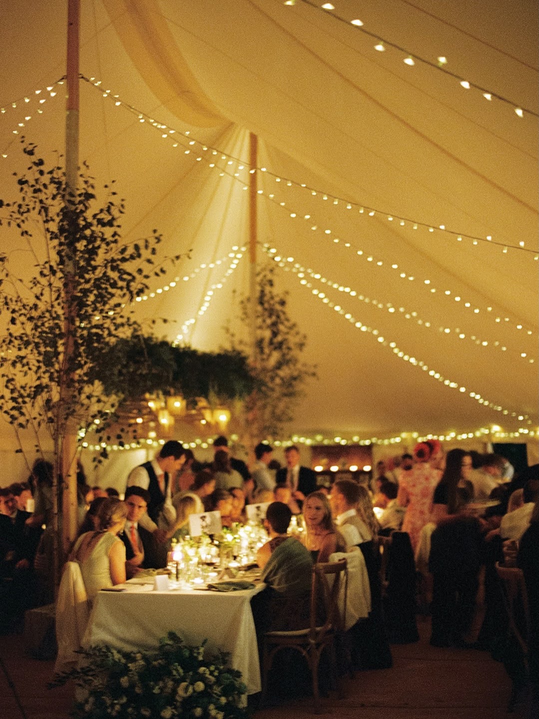 There’s nothing quite like the ultimate marquee glow.
When the wedding breakfast has finished and guests begin to mingle, the atmosphere shifts. Soft candlelight flickers on the tables, fairy lights shimmer in the canopy peaks, and a golden warmth settles over the whole space.
Truly magical ✨
Photographer - @slphotoandfilm
Planner - @amandawhiston_weddings
#greenfarmmarquees #itsawillsthing