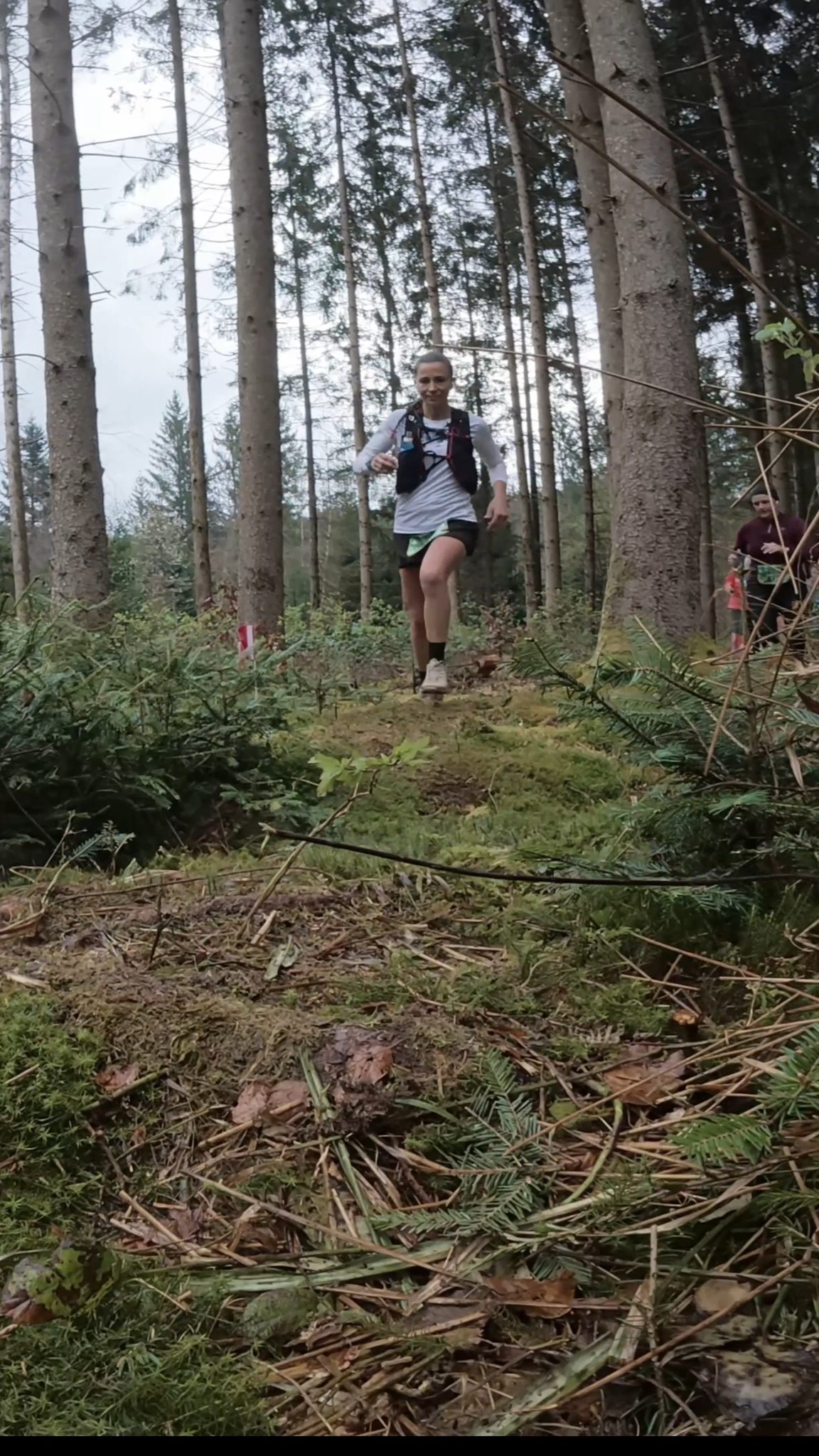 Des Ânes 🫏, Oui mais aussi des Lions 🦁, des Tigres 🐯et même des Dragons 🐉 sur 5, 10, 15 ou 30km à travers le plus grand massif forestier du Plateau suisse.
📅𝗥𝗲𝗻𝗱𝗲𝘇-𝘃𝗼𝘂𝘀 à 𝗦𝗲𝗿𝘃𝗶𝗼𝗻 𝗹𝗲 𝟮𝟵