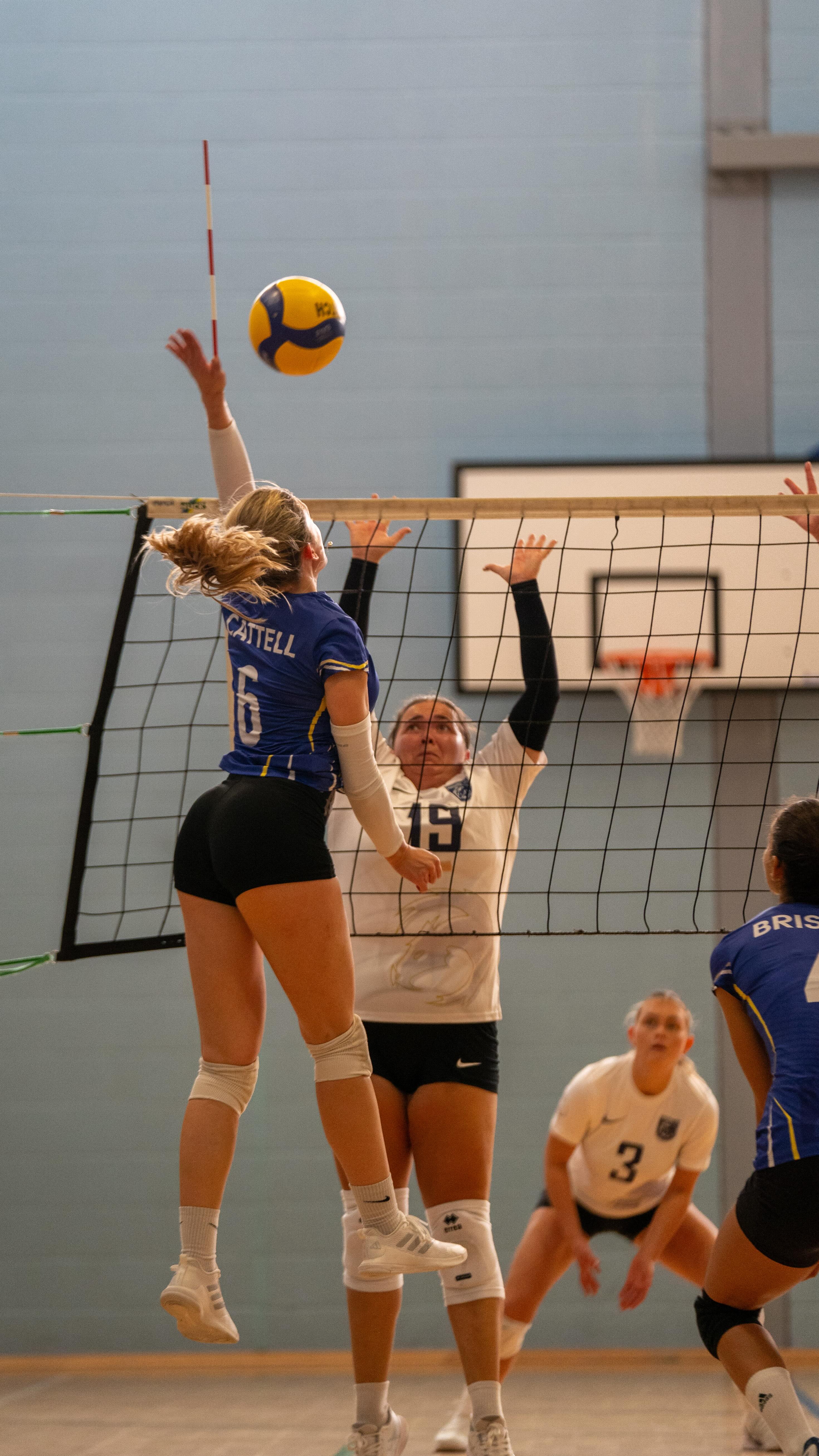 Monster block from our Ladies 1 the other weekend — absolute wall at the net 💥💛💙
Huge thank you to @jwakelinvisuals for catching this moment so perfectly.
.
.
.
#WeAreBVC #BristoVolleyballClub #VolleyballUK #MensVolleyball #GameDay #VolleyballHighlights #BristolSport #SouthWestVolleyball #BVCReel #VolleyballLife #UKVolleyball #VolleyballCommunity #BristolAthletes #BVCL1
