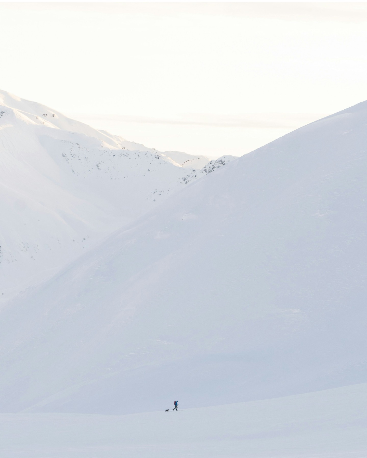 #BnkerStudio #DesignPhilosophy #CreativeDirection #ModernDesign #VisualIdentity #ConceptualDesign #ArtDirection #DesignCulture #CreativeProcess #MinimalAesthetics