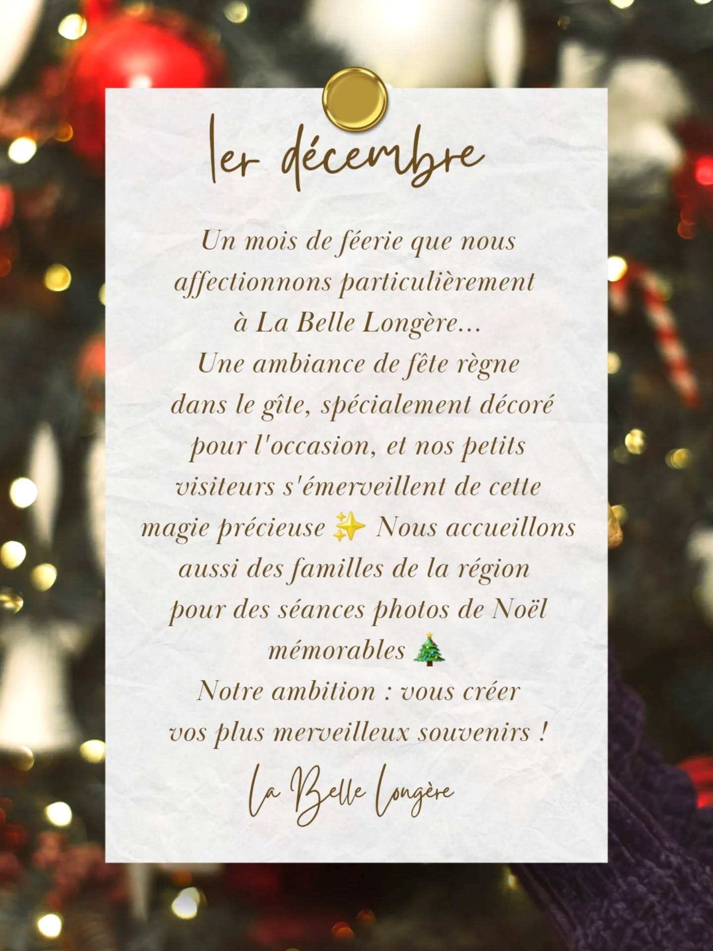 1er Décembre ✨️
Nous plongeons avec plaisir dans le prélude d'une douce féerie, impatients de savourer la magie des fêtes et les retrouvailles entre proches 💫
Car ce qui fait l'intensité de ces grands moments de fin d'année, c'est de les partager avec les êtres qui nous sont chers ! 🥂
Comment s'annonce Décembre chez vous ? 🎁
(Inauguration du mois de décembre à La Belle Longère, meublé de tourisme 3 étoiles, séjours et retrouvailles de fin d'année en Champagne ✨️, Magie de Noël 🎄, séances photos et événementiel pour des souvenirs inoubliables, moments précieux en famille au milieu des vignes champenoises 🍇)