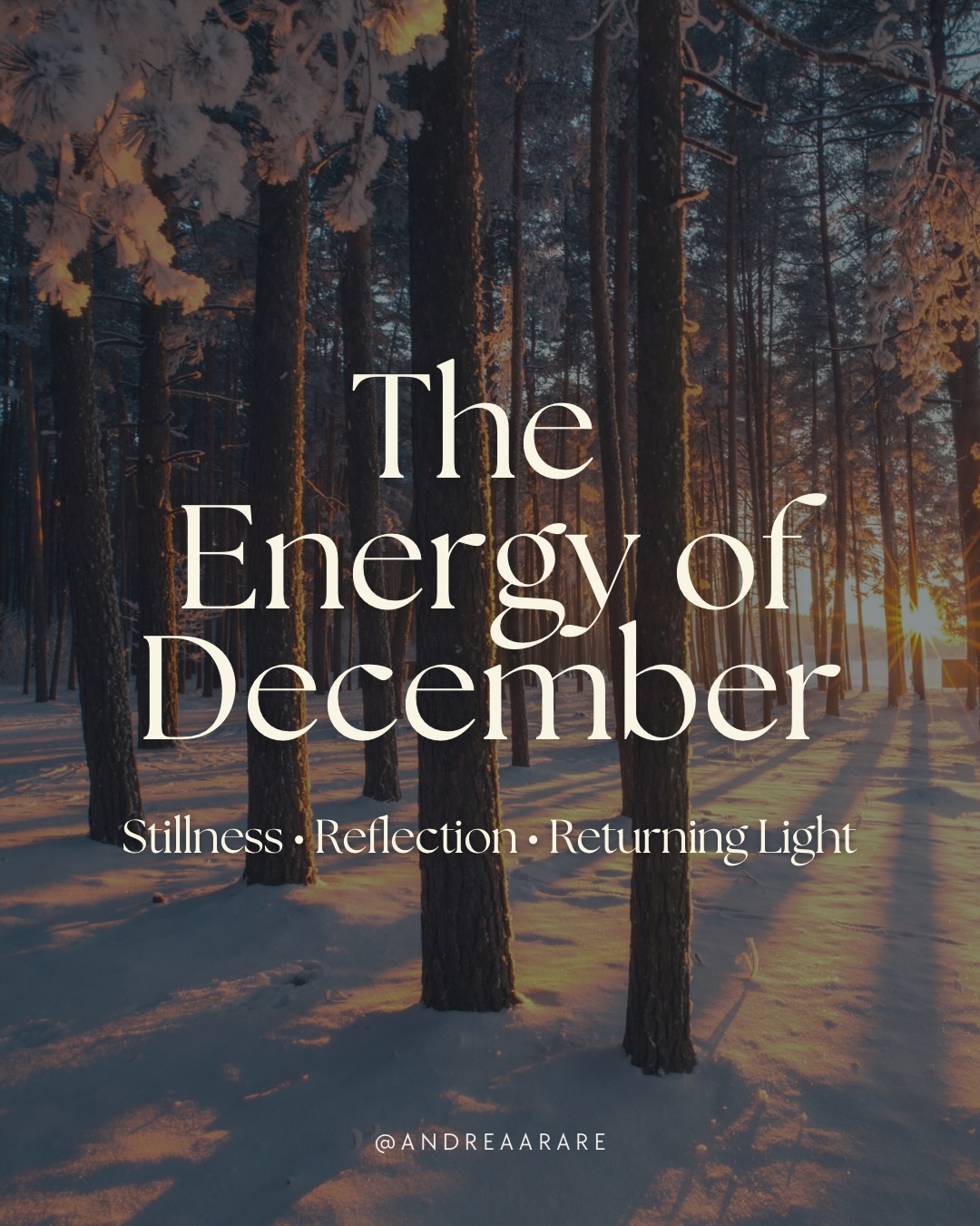 December is a threshold month. The deep inhale before a new cycle begins.
It carries both the quiet of winter and the spark of rebirth, guiding us into contemplation, release, and inner illumination.
December is a month of mixed energies. The quiet place between who you’ve been and who you’re becoming.
Swipe to feel into December’s medicine. ❄️
#december #wheeloftheyear #cyclicalliving