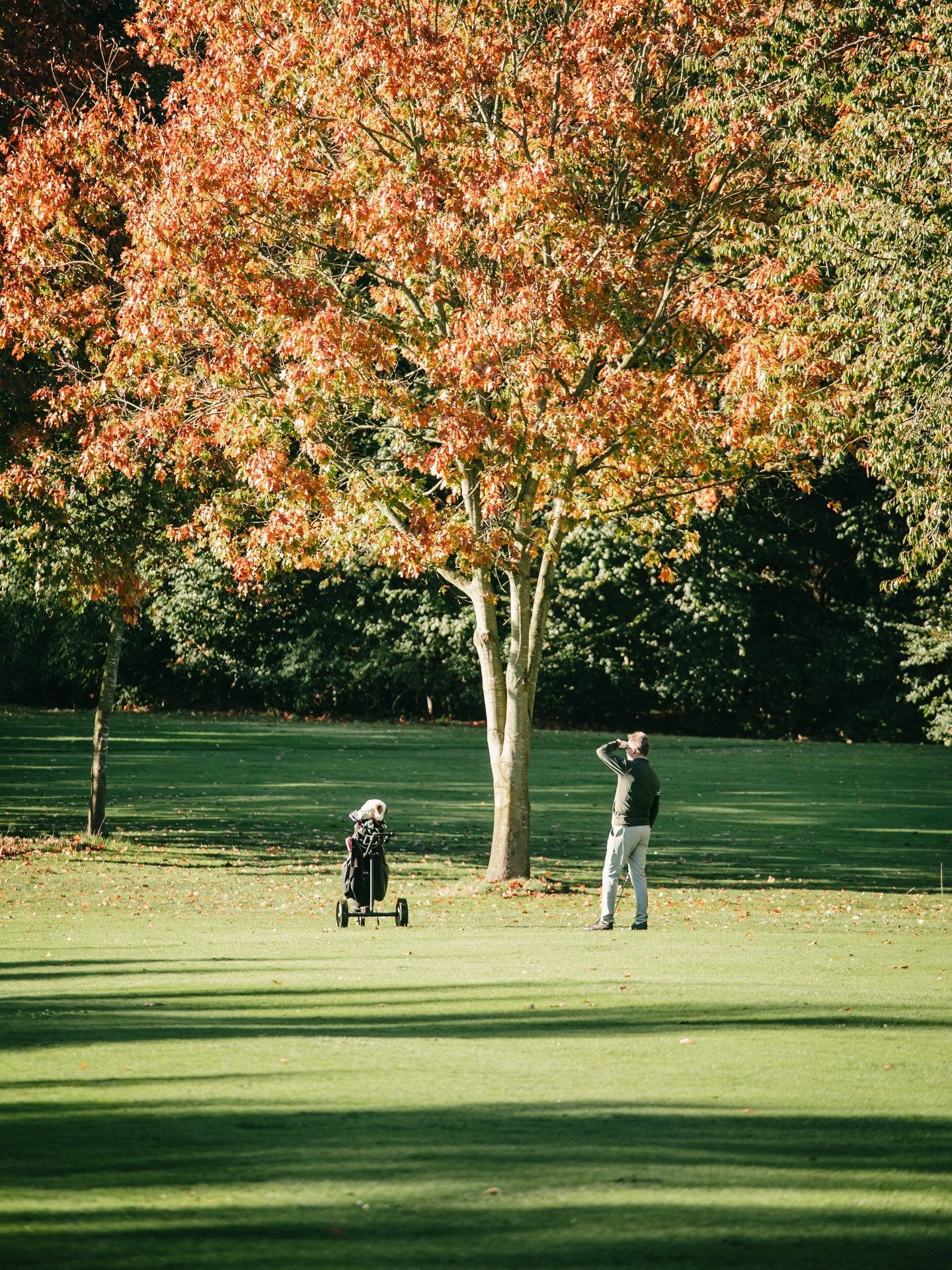 Impressionen vom Golfplatz. #golf #vechta #golfimnorden
