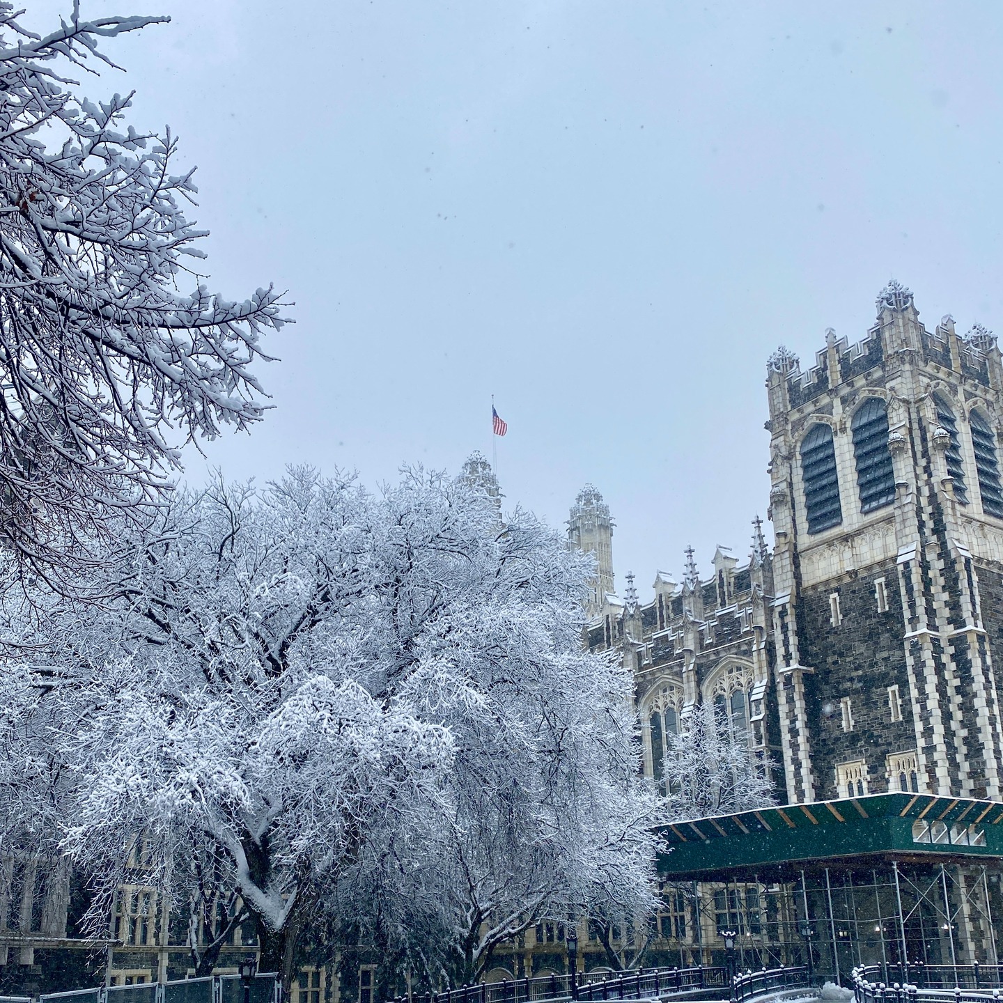Quand New York se pare de blanc ❄️
Un instant suspendu, magique et éphémère ✨
#NewYork #NYC #Neige #HiverANewYork #WinterInNYC #MagieDeLHiver #SnowDay #InstantMagique