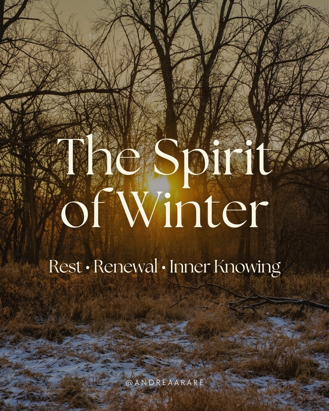 If you feel the energy of winter calling you inward…
If you’re ready to step into the new year with purpose and power…
If you want your intentions to be more than hopes
but aligned, embodied, and effective…
My upcoming workshop was created for you.
Inspired by indigenous traditions, spiritual teachings,
and modern research, this experience will guide you into:
🌀 Deeper clarity
🌳 Rooted intention
✨ Embodied alignment
🦋 Meaningful transformation
It’s time to set intentions that your soul and the universe can recognize.
#winter #wheeloftheyear #cyclicalliving #intentionsetting