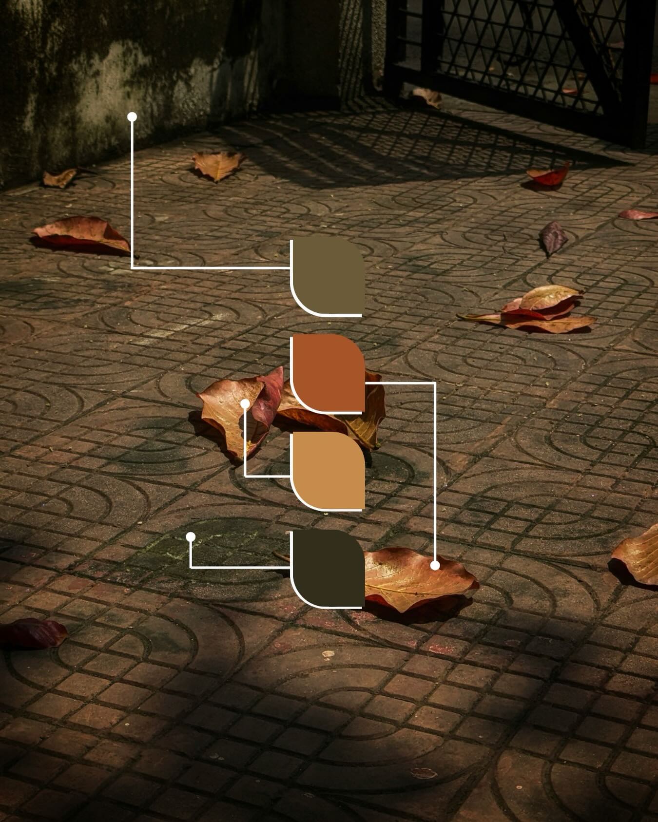 🍂 Crisp leaves, cobblestone charm, and earthy warmth all bundled into one palette🍁tones like these bring depth and richness - a story of creativity and coziness.
Seasonal refresh is perhaps on the cards?? 🃏