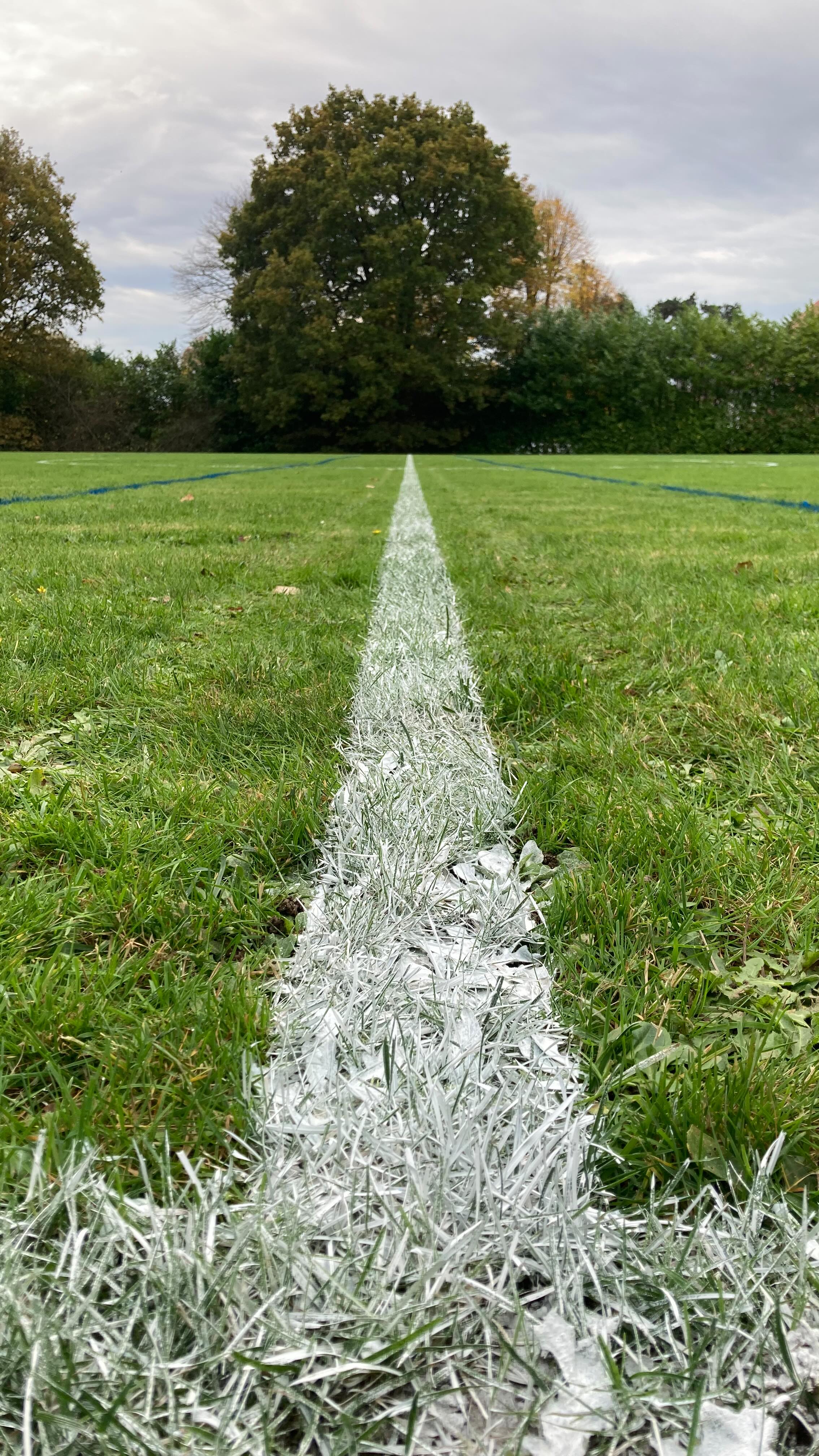 🎨 A satisfying one in a peaceful setting…🌳🐦⬛
👉 9v9 in ⚪️ with 2x 5v5’s in 🔵💪
#linemarking
