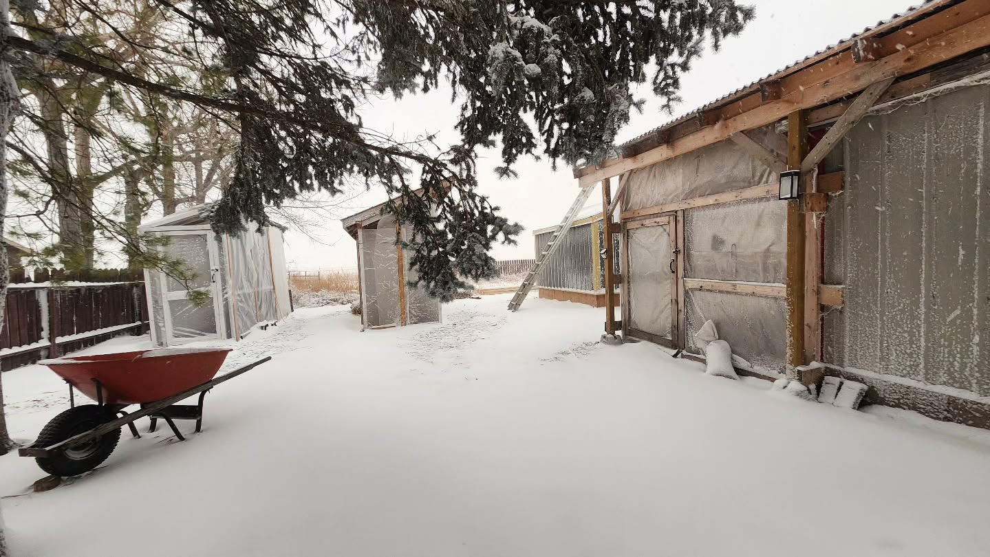 Tarps on 💪 Winter is officially here ❄️