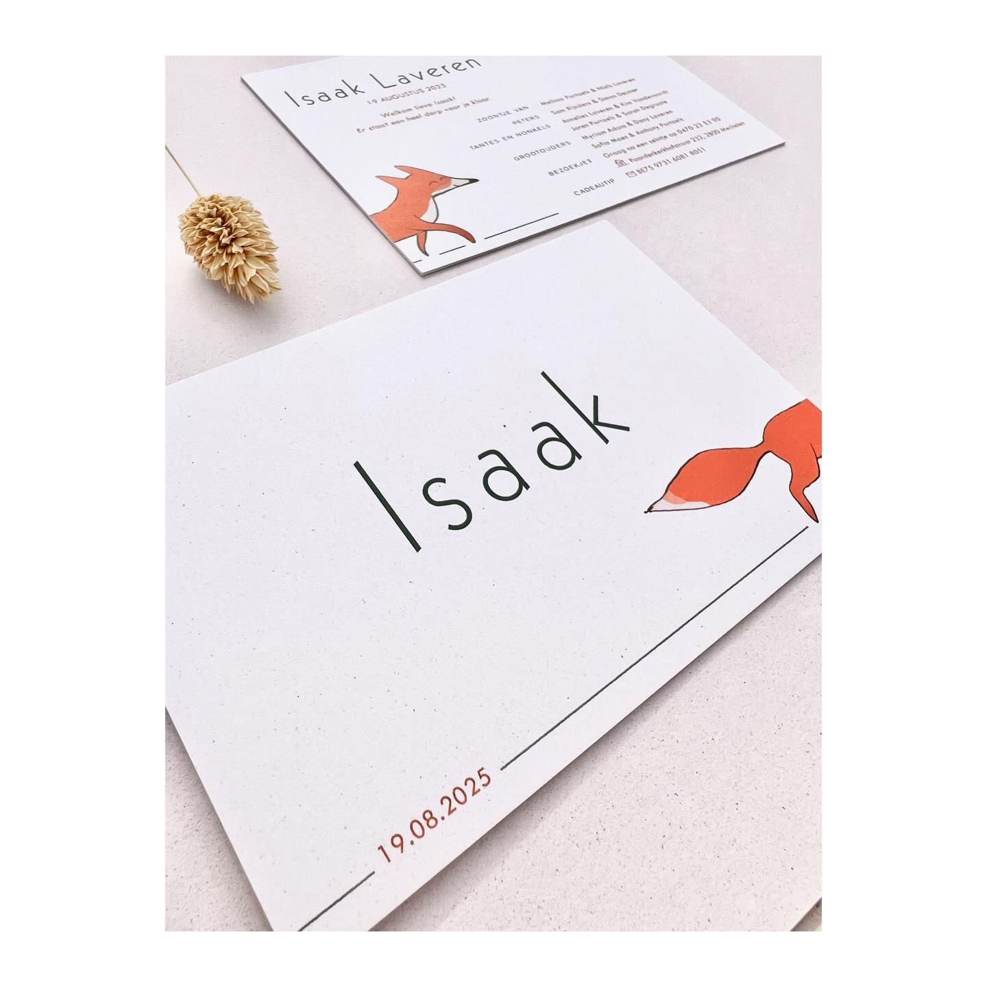 Hello Isaak 🦊
#geboortekaartjes #geboortekaartjeopmaat #geboortekaartjejongen