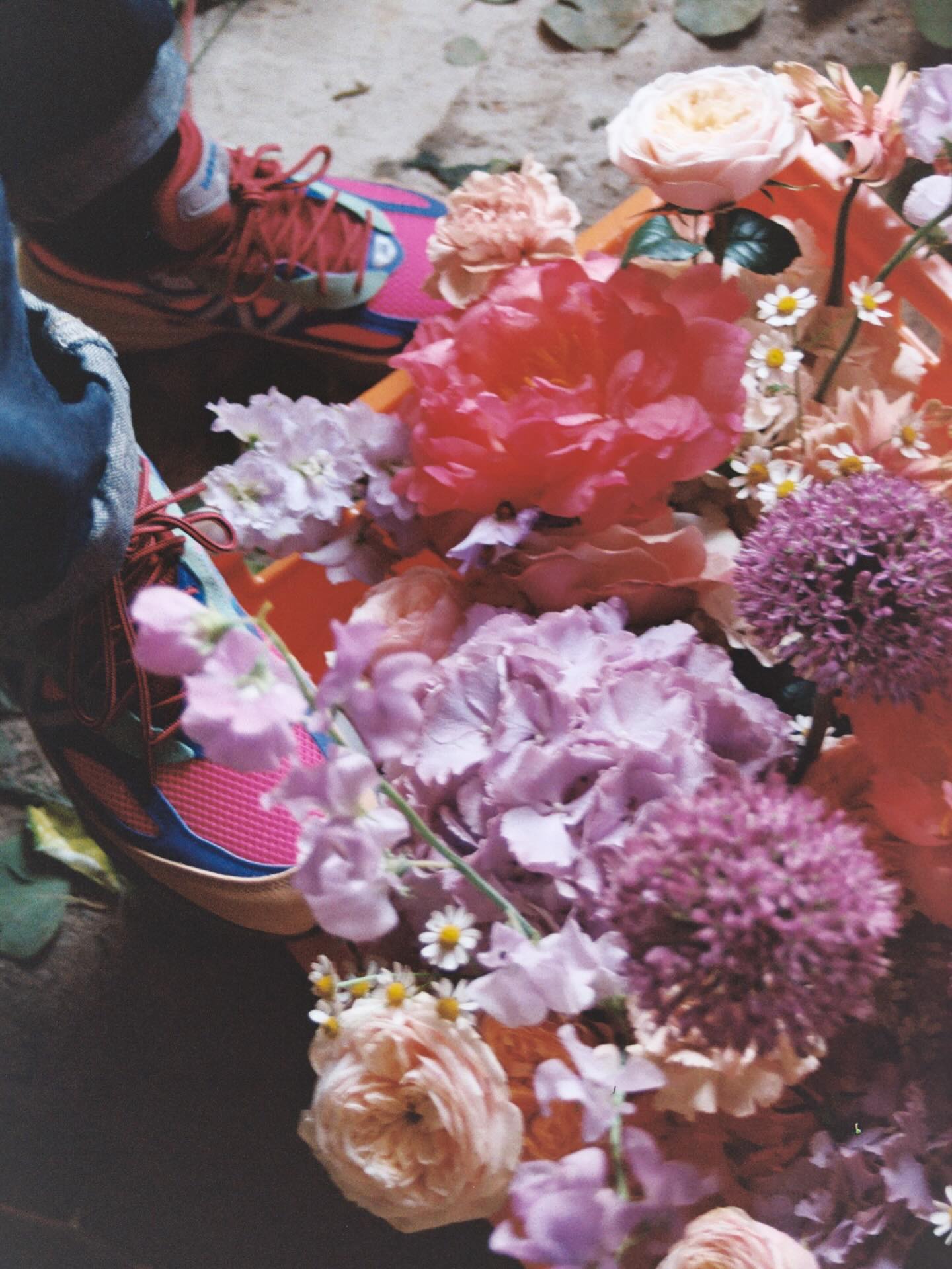 Hola Toulouse 🌸🌸🌸🌸🌸🌸
Alors, tres very hectic les derniers jours for Gaïa vu qu’elle a déménagé. Du coup voici une photo random, mais belle, en argentique, de nos fleurs.
Very soon le housetour de Gaïa 🫶🏾
Besitos 💕💕💕💕💕💕