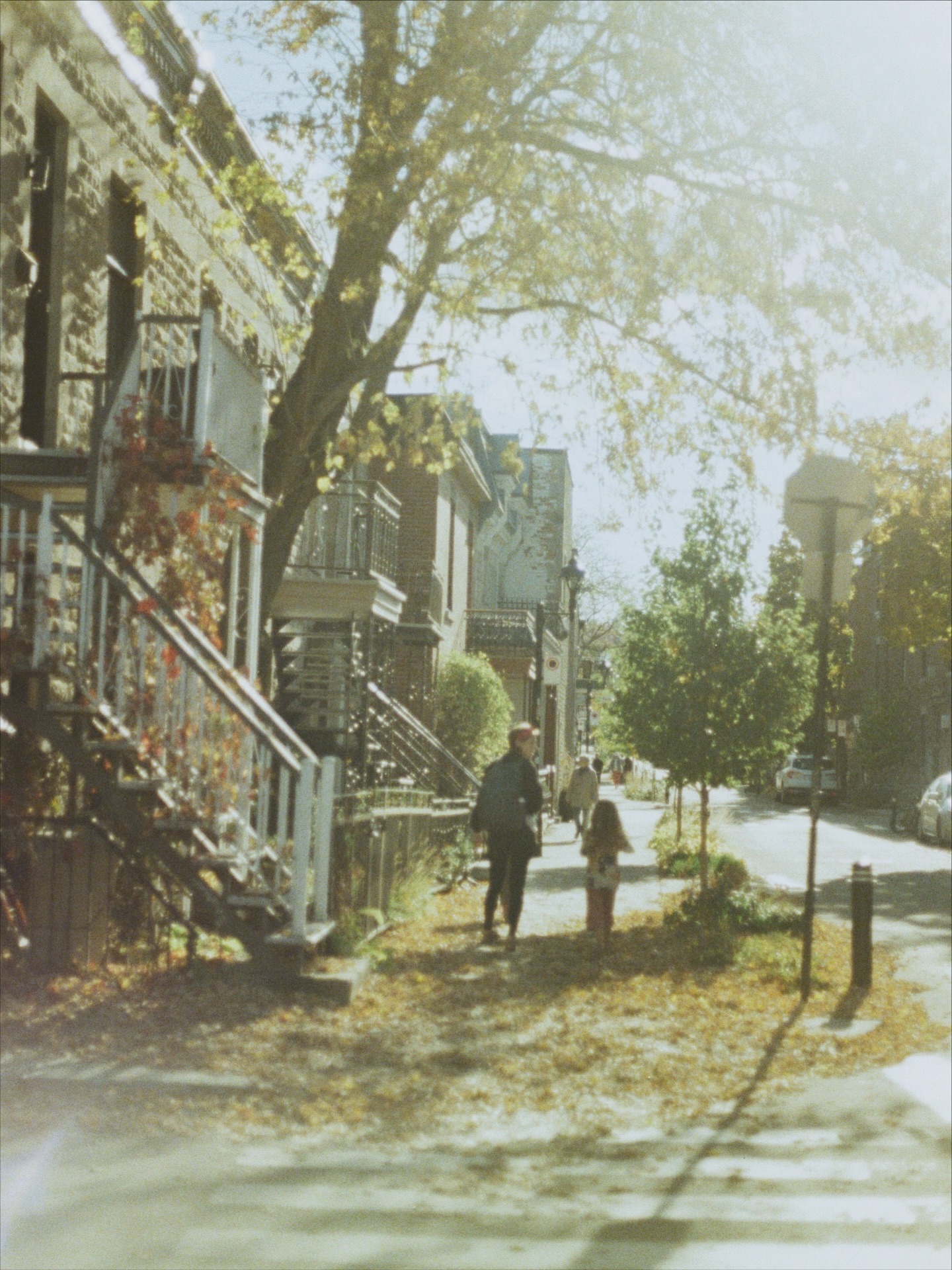 晴れた日の午後、公園のベンチに座ってイヤフォンマイクを使いながら電話で友達と話してたらリスが寄ってきた。
私を真っ直ぐ見つめて餌を要求してくる。
私はリスを見つめながら電話で会話し続けてると、通りがかりの人々が「あんたリスと話せるのかい?!」って驚きと好奇心の混じった嬉しそうな目で私に話しかけてくる。
いや、友達(人間)と話してますが…笑
そんなメルヘンな街Montreal🐿️
-
#canonae1 #kodak #montreal #canada #fall #autumn #🍂 #🐿️