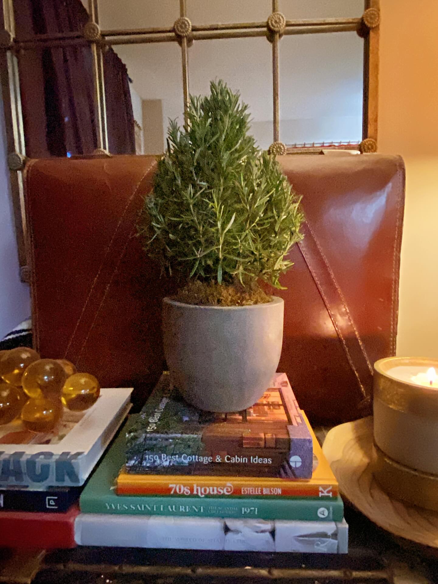 Just a little hostess gift for someone who enjoys simple pleasures..repotted this sweet Rosemary plant into a concrete pot (to go with their decor and to give the roots a little more room), and added a handful of moss. A holiday centrepiece for a side table, and useful for cozy winter cooking as well..Happy Sunday 💚🌲🥰😘